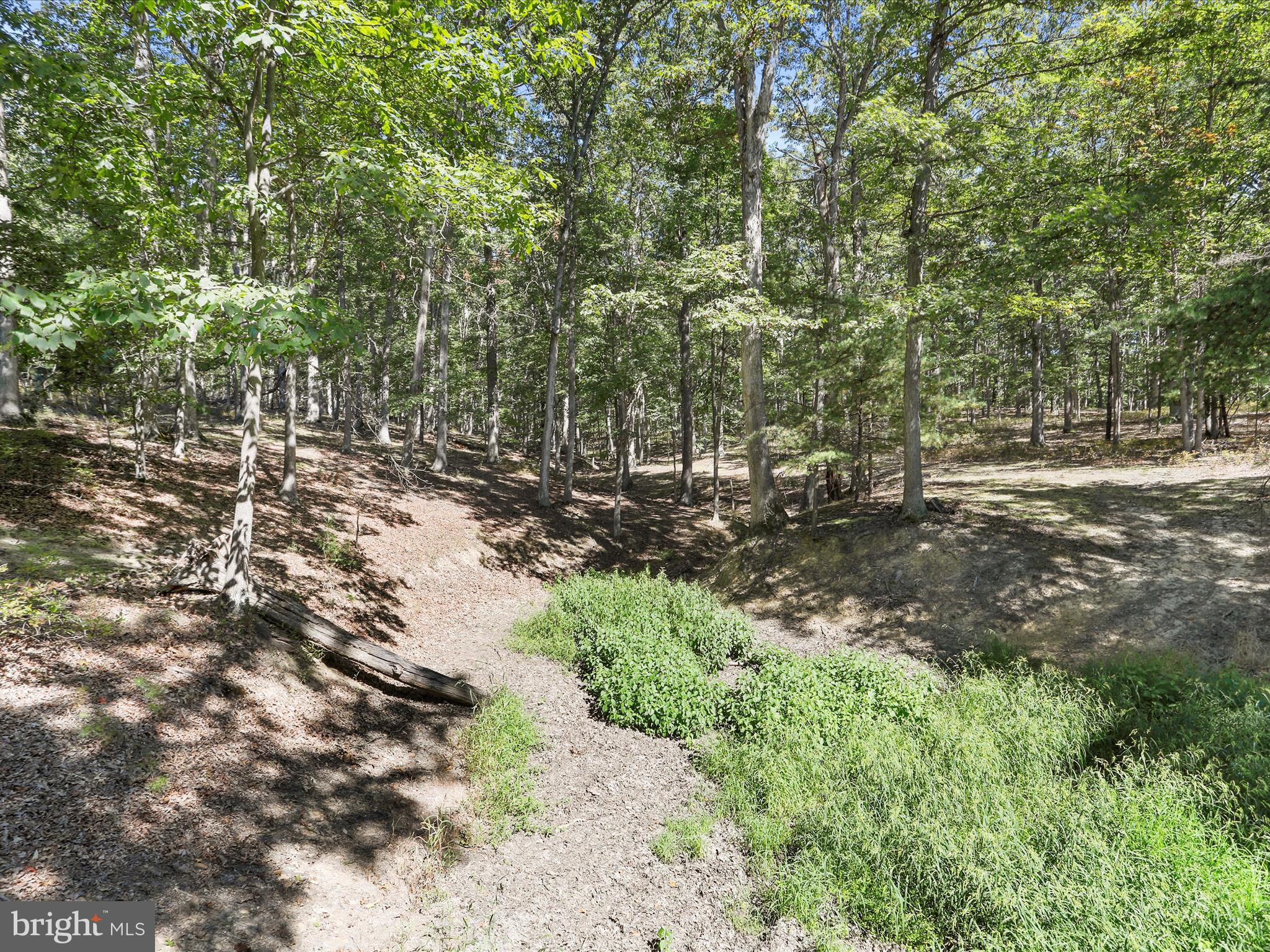 SOUTH POTOMAC FOREST - Residential