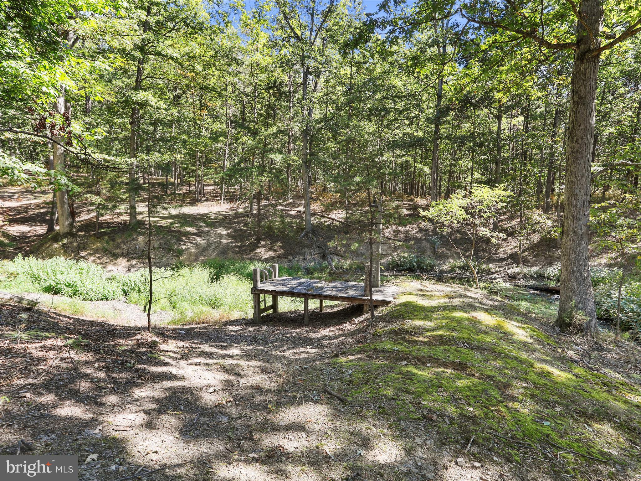 SOUTH POTOMAC FOREST - Residential