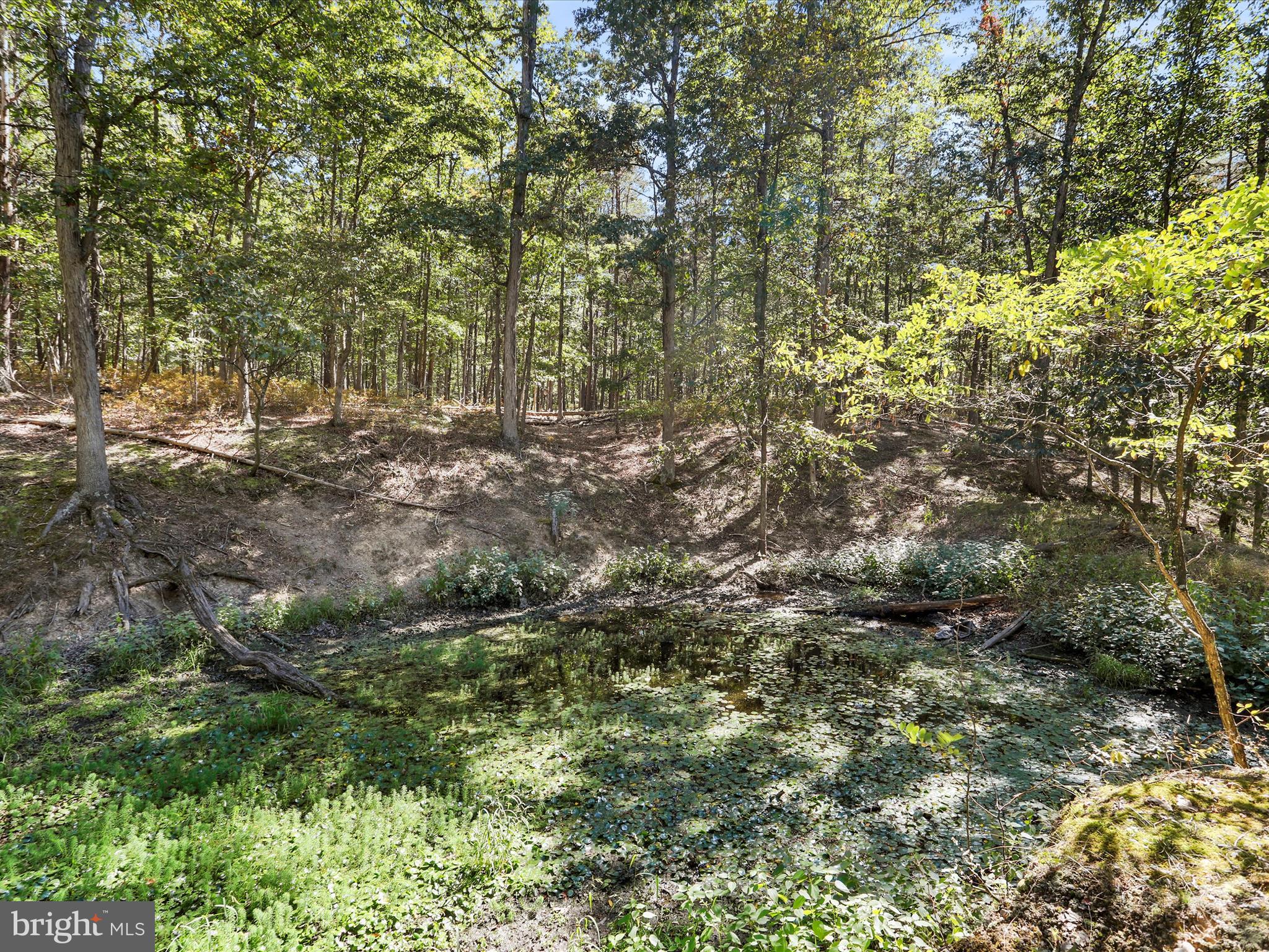 SOUTH POTOMAC FOREST - Residential