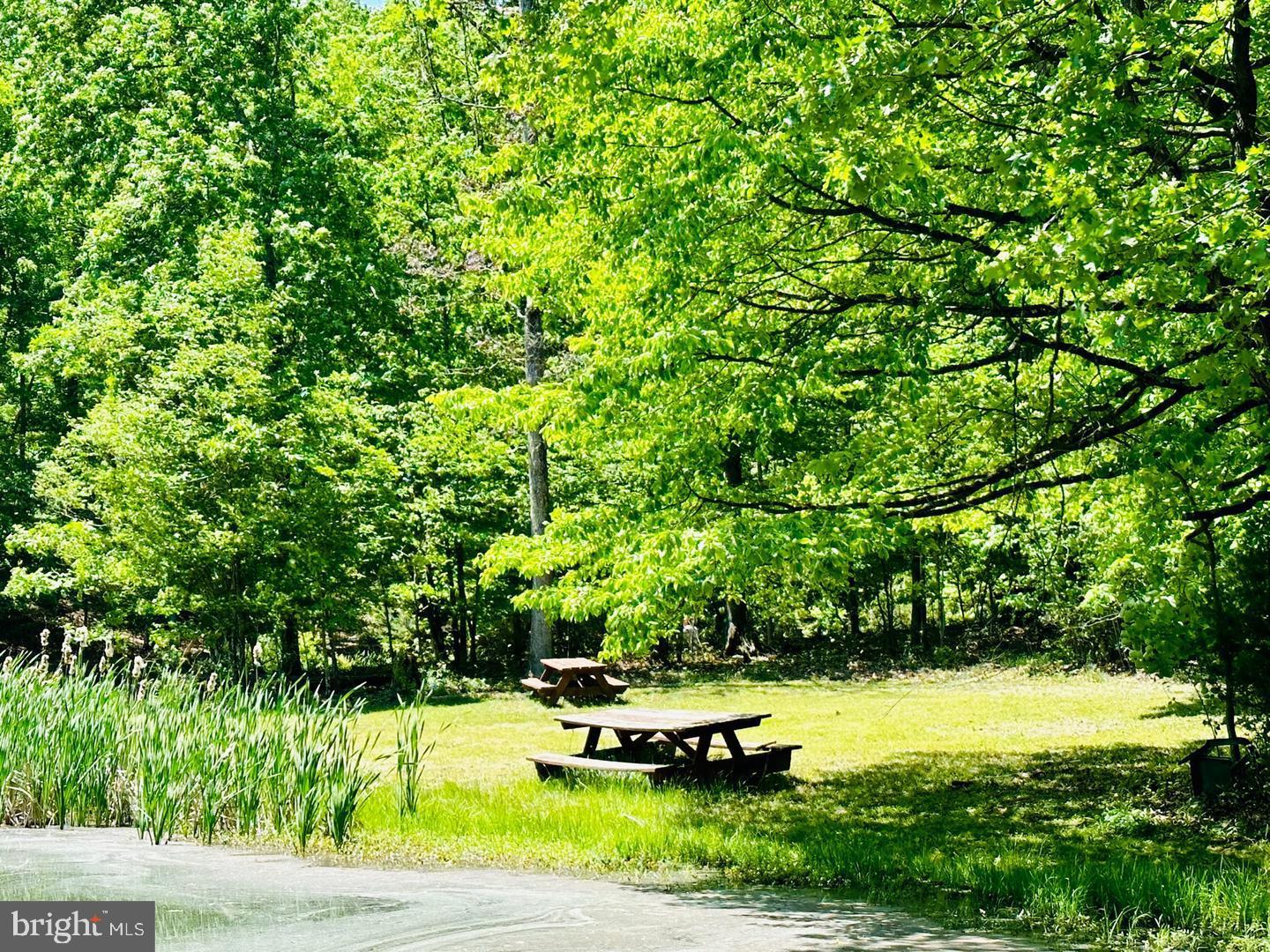 SOUTH POTOMAC FOREST - Residential