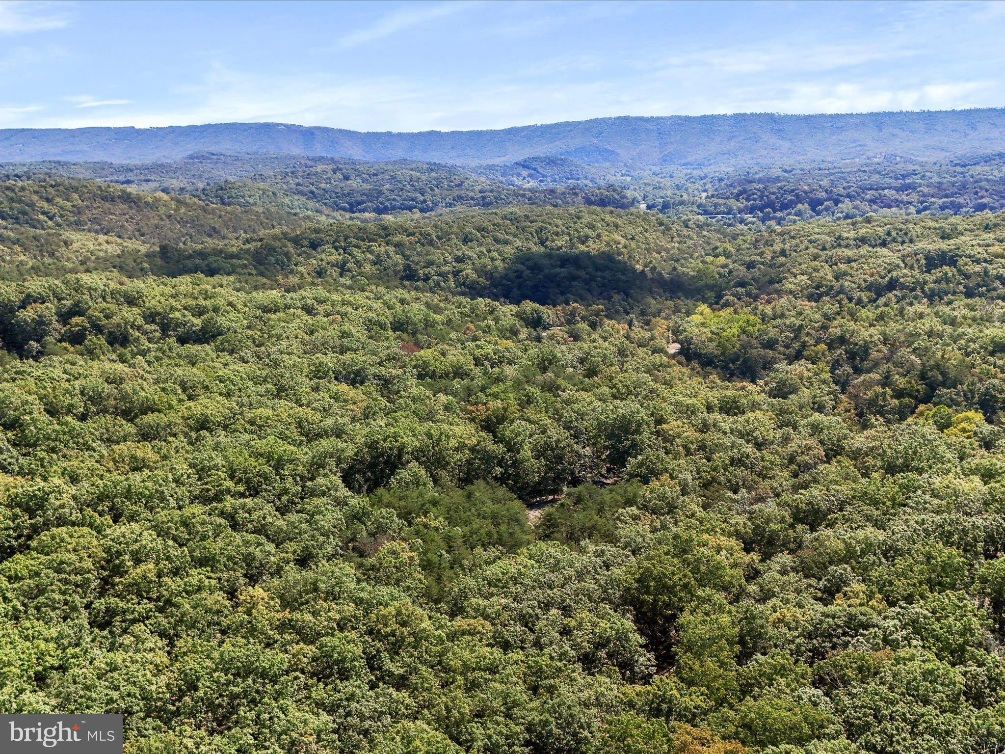 SOUTH POTOMAC FOREST - Residential