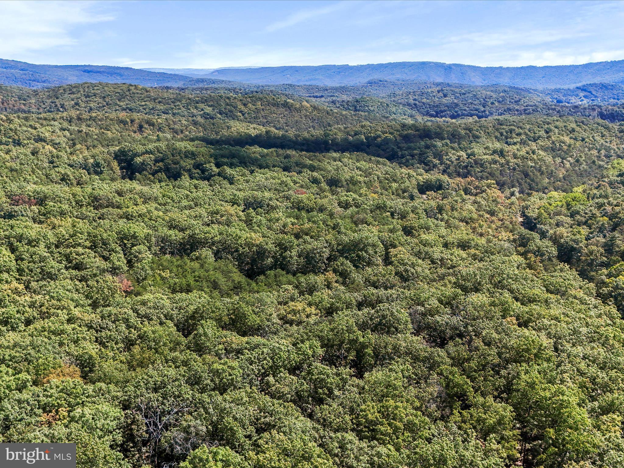 SOUTH POTOMAC FOREST - Residential