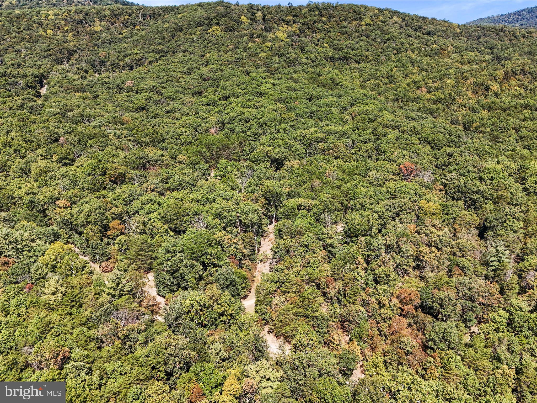SOUTH POTOMAC FOREST - Residential