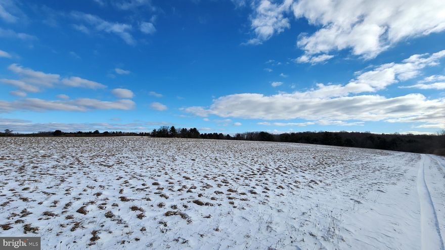 Beautiful fields and evergreen forests on this 78 acre parcel! Public water and electric available at the street. Perfect for a homesteader looking to grow crop or raise animals! Contains an access road making it easy to show. Near State Game Lands #100 containing over 2,000 Acres of public hunting land. Come take a look!