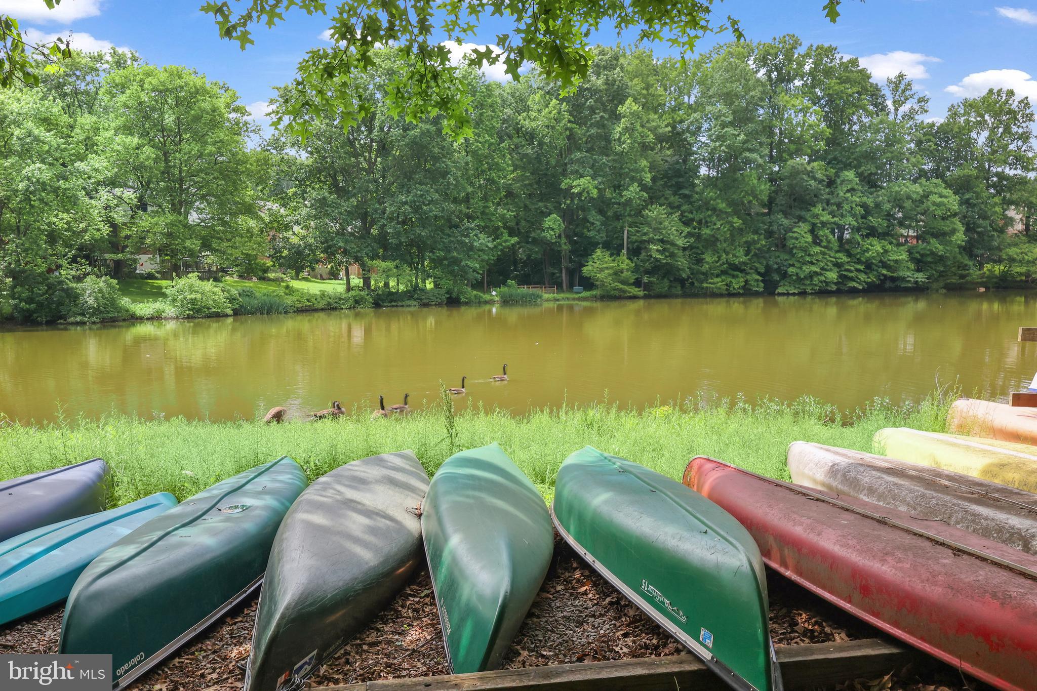 LAKE BRADDOCK - Residential