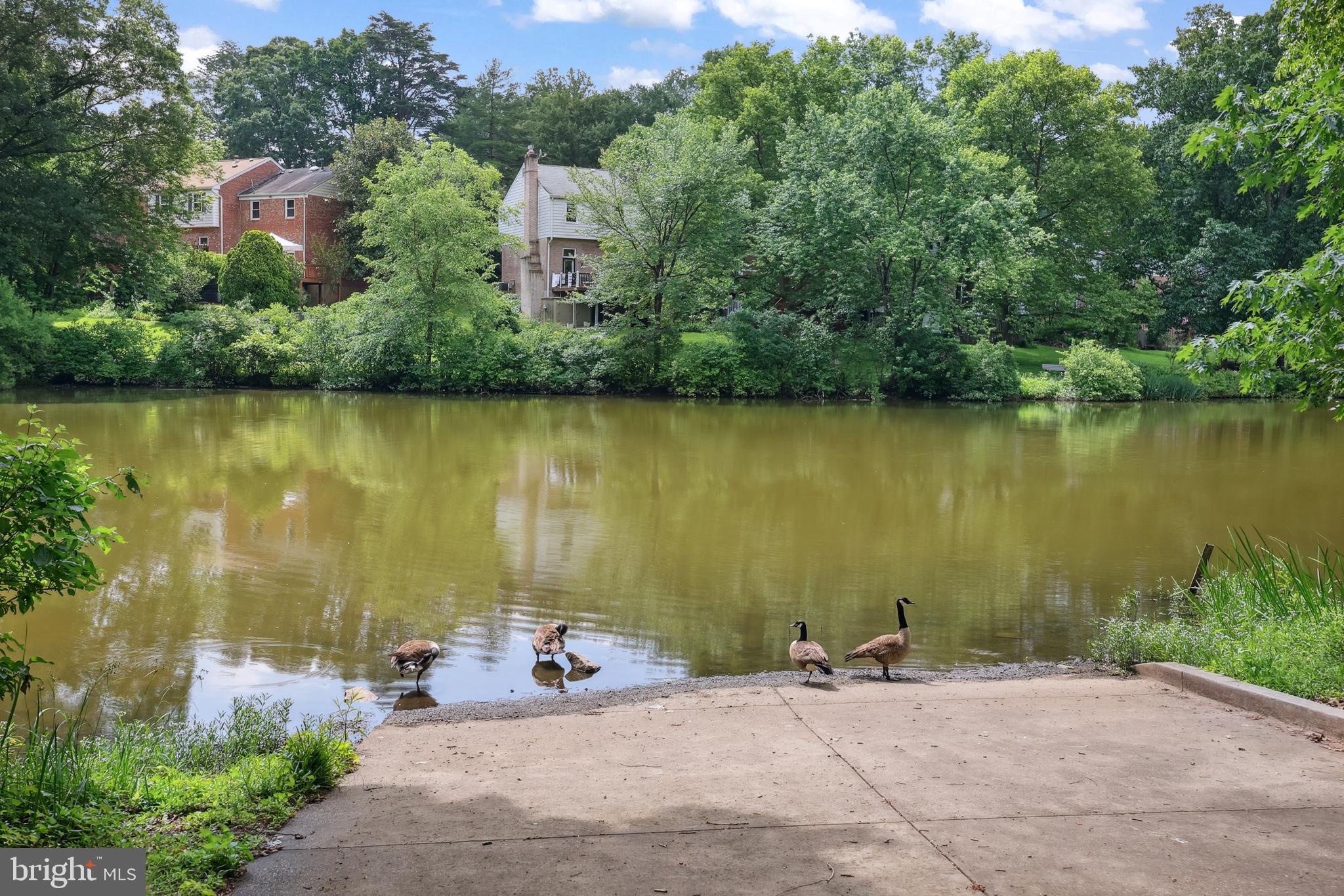 LAKE BRADDOCK - Residential