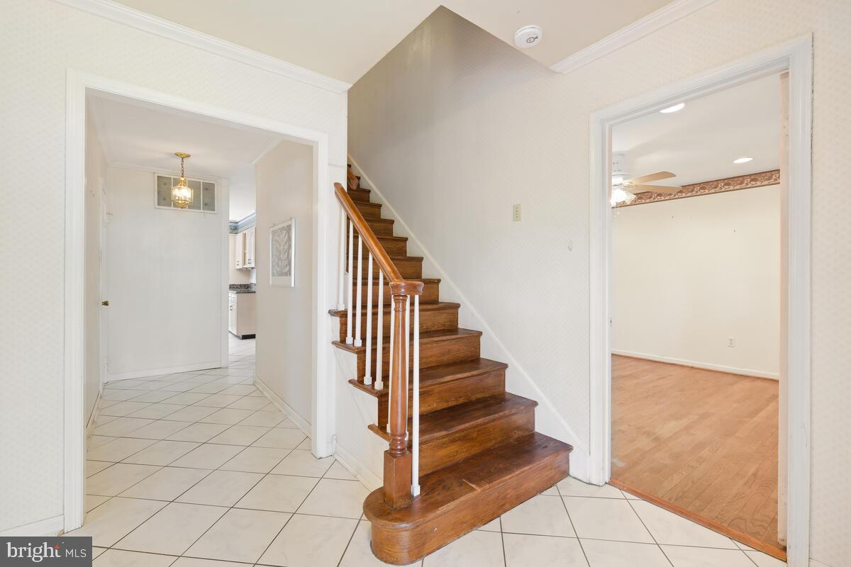 LUXMANOR - Residential