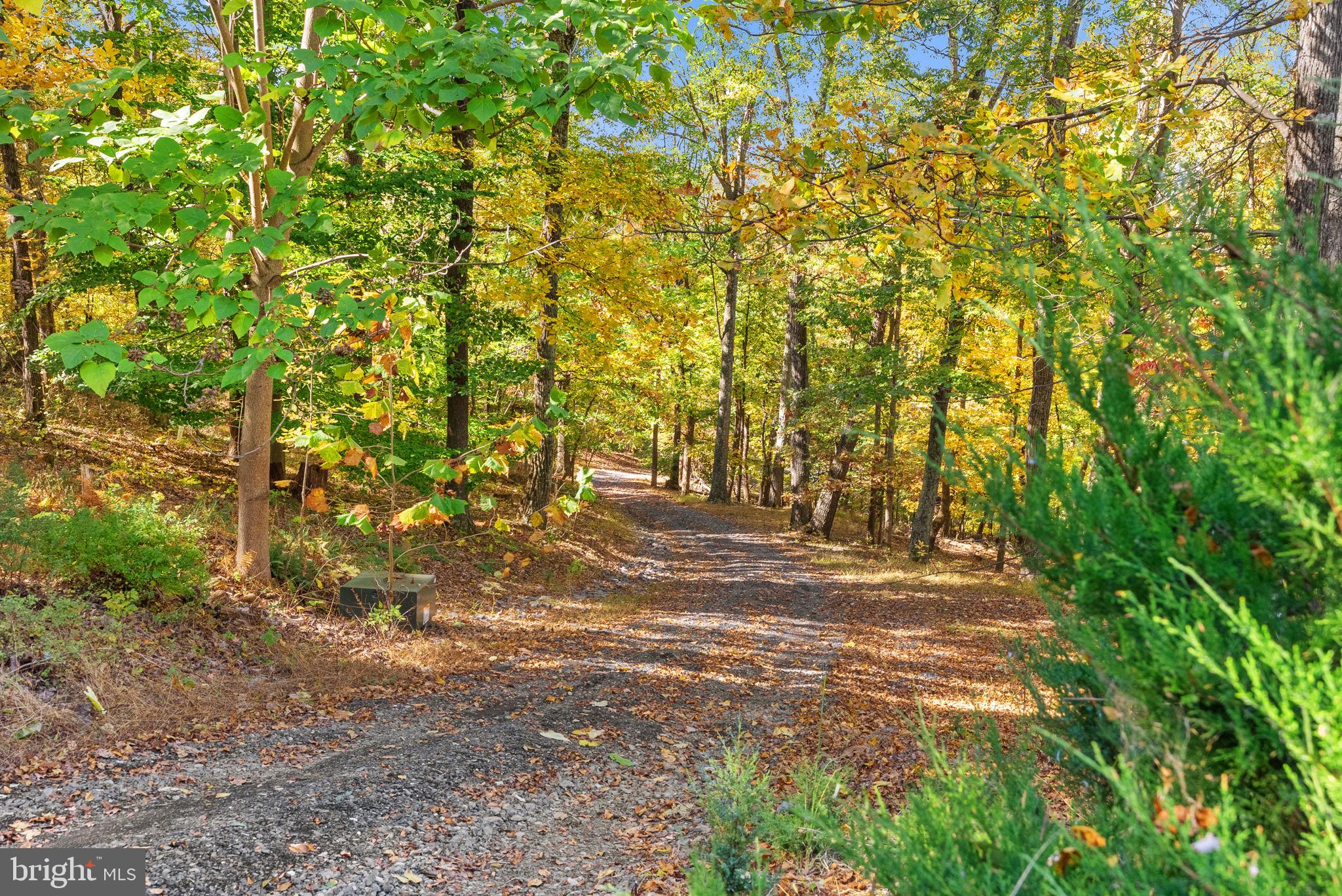 850 TIMBERLAND MANOR