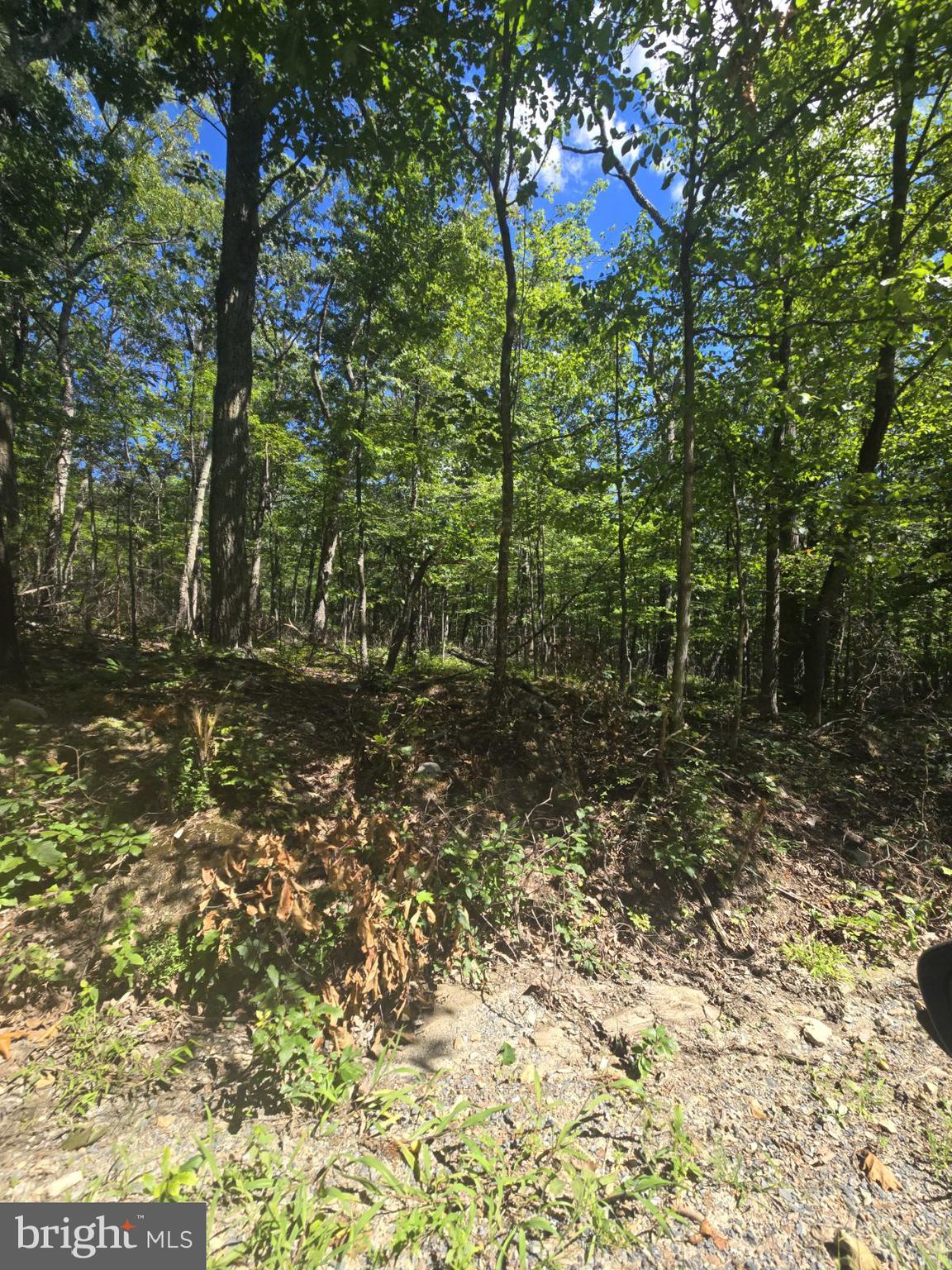 0 WHITE OAK RD