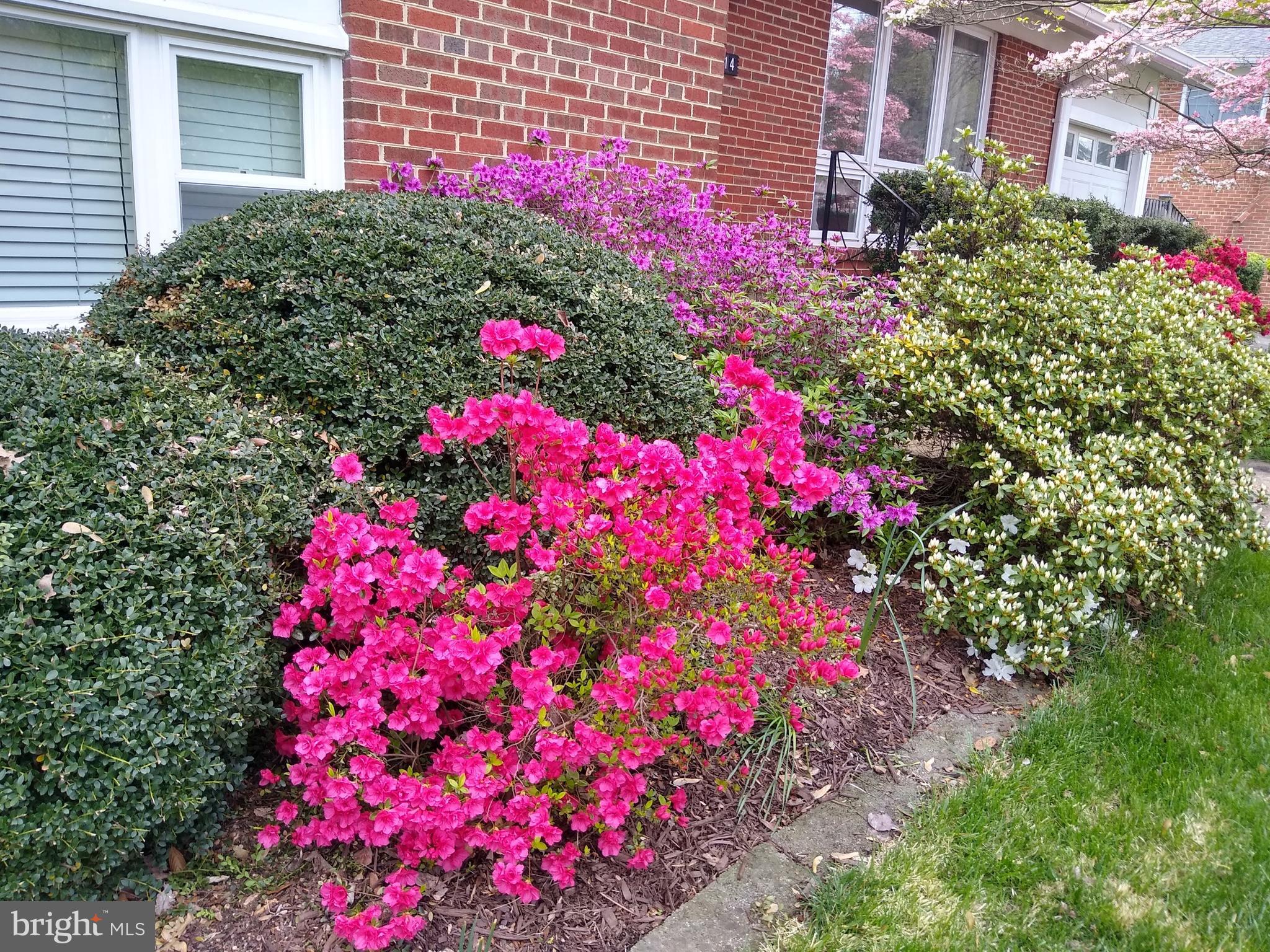 MAPLEWOOD ESTATES - Residential