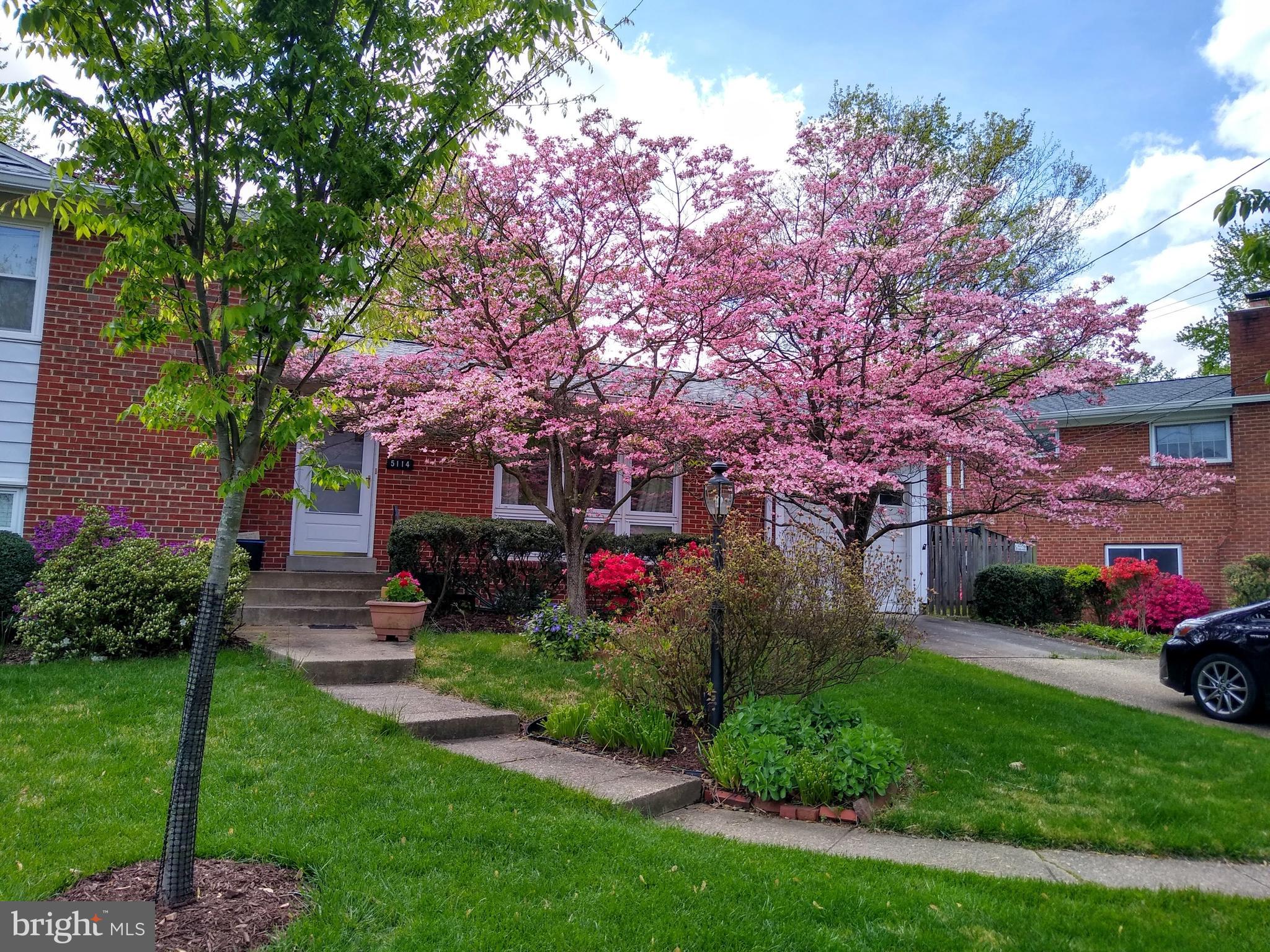 MAPLEWOOD ESTATES - Residential