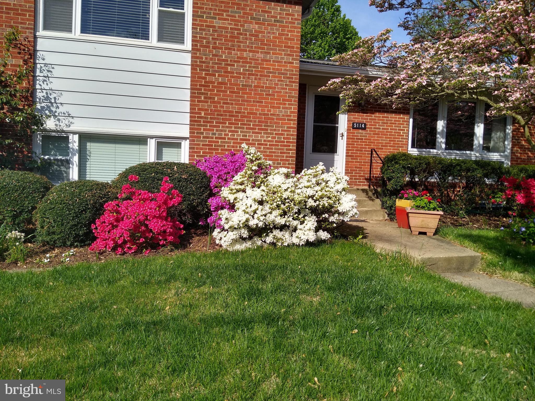 MAPLEWOOD ESTATES - Residential