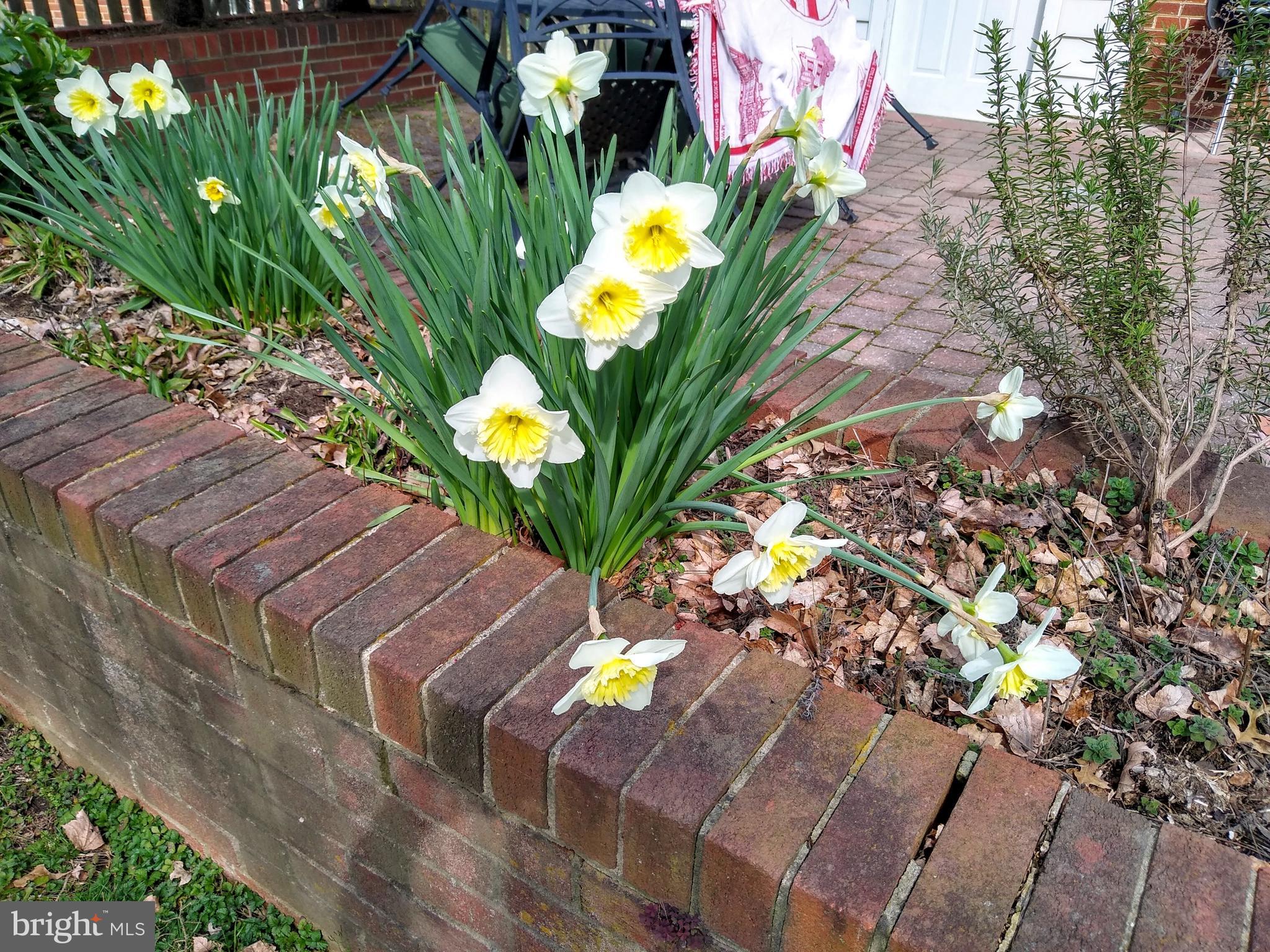 MAPLEWOOD ESTATES - Residential