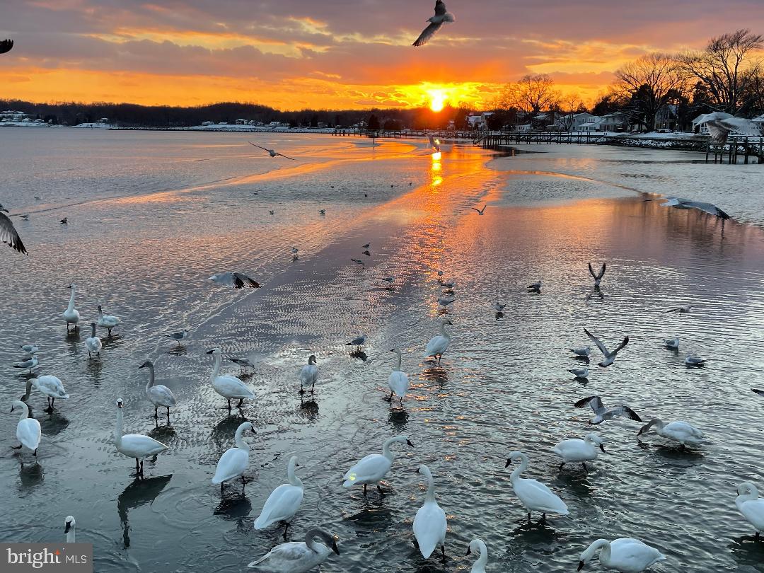 MASONS BEACH - Residential
