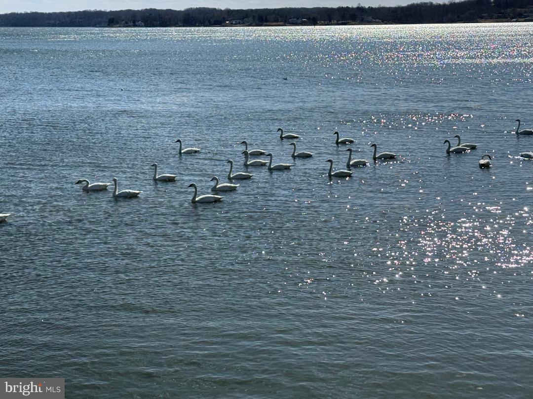 MASONS BEACH - Residential