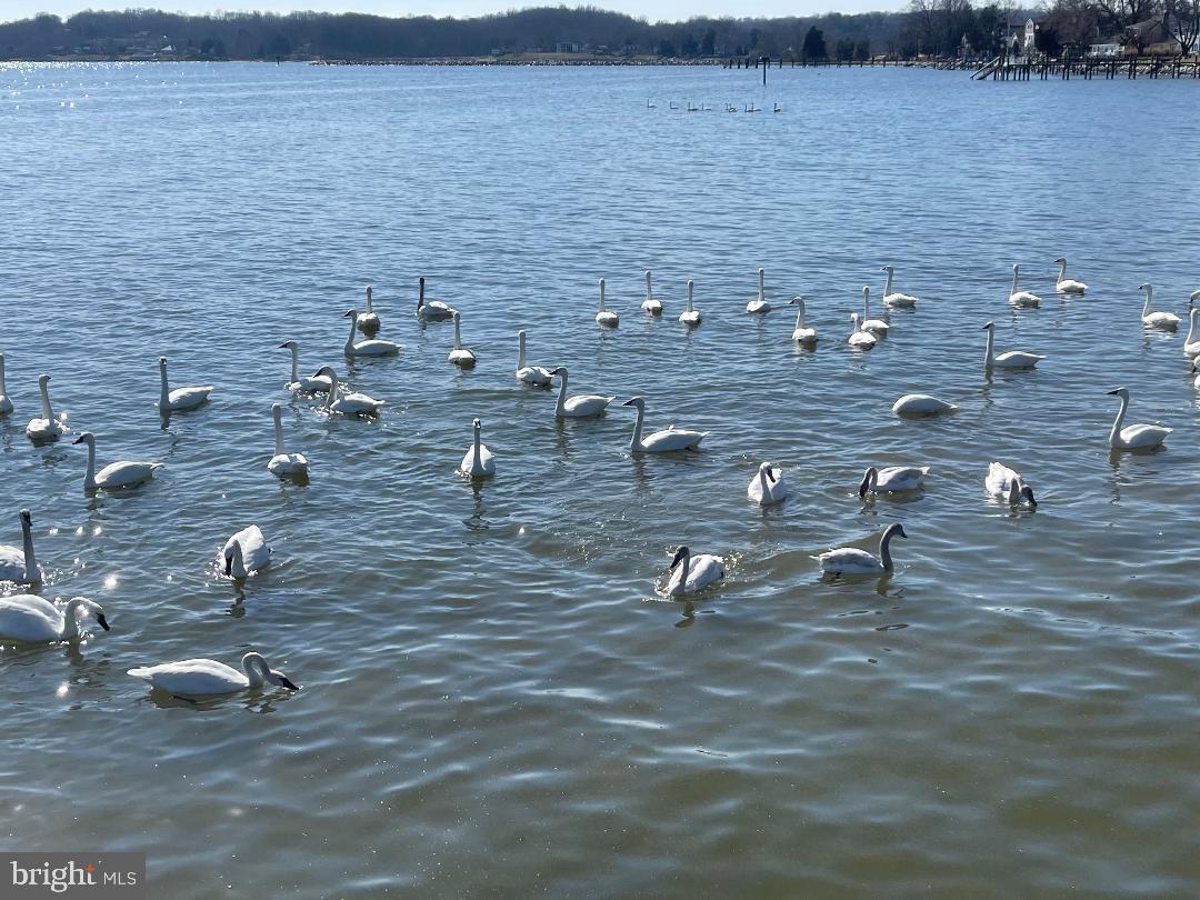 MASONS BEACH - Residential