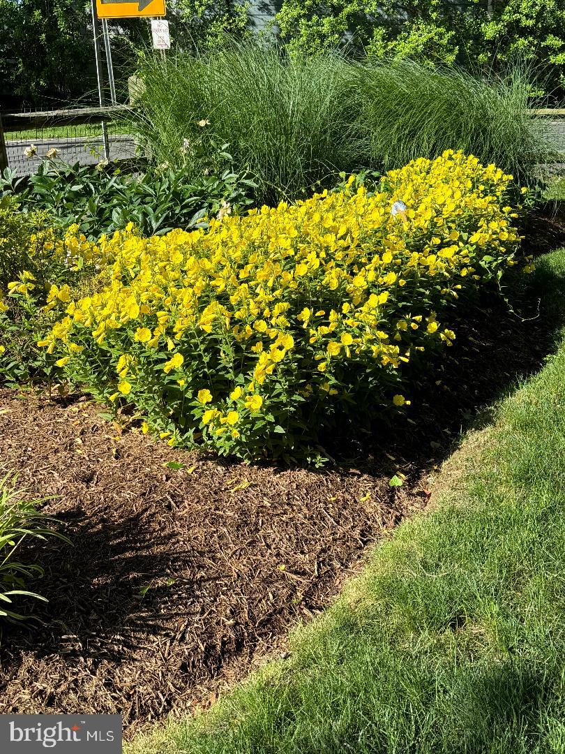 MASONS BEACH - Residential