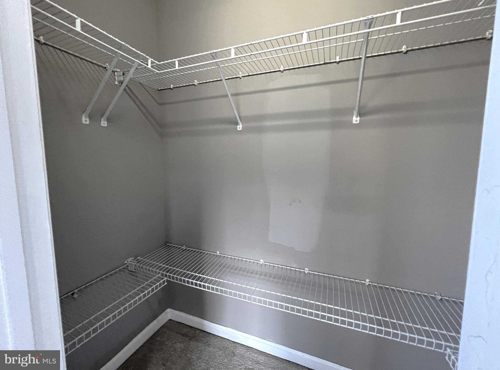 SQUIRREL HILL - Residential Lease