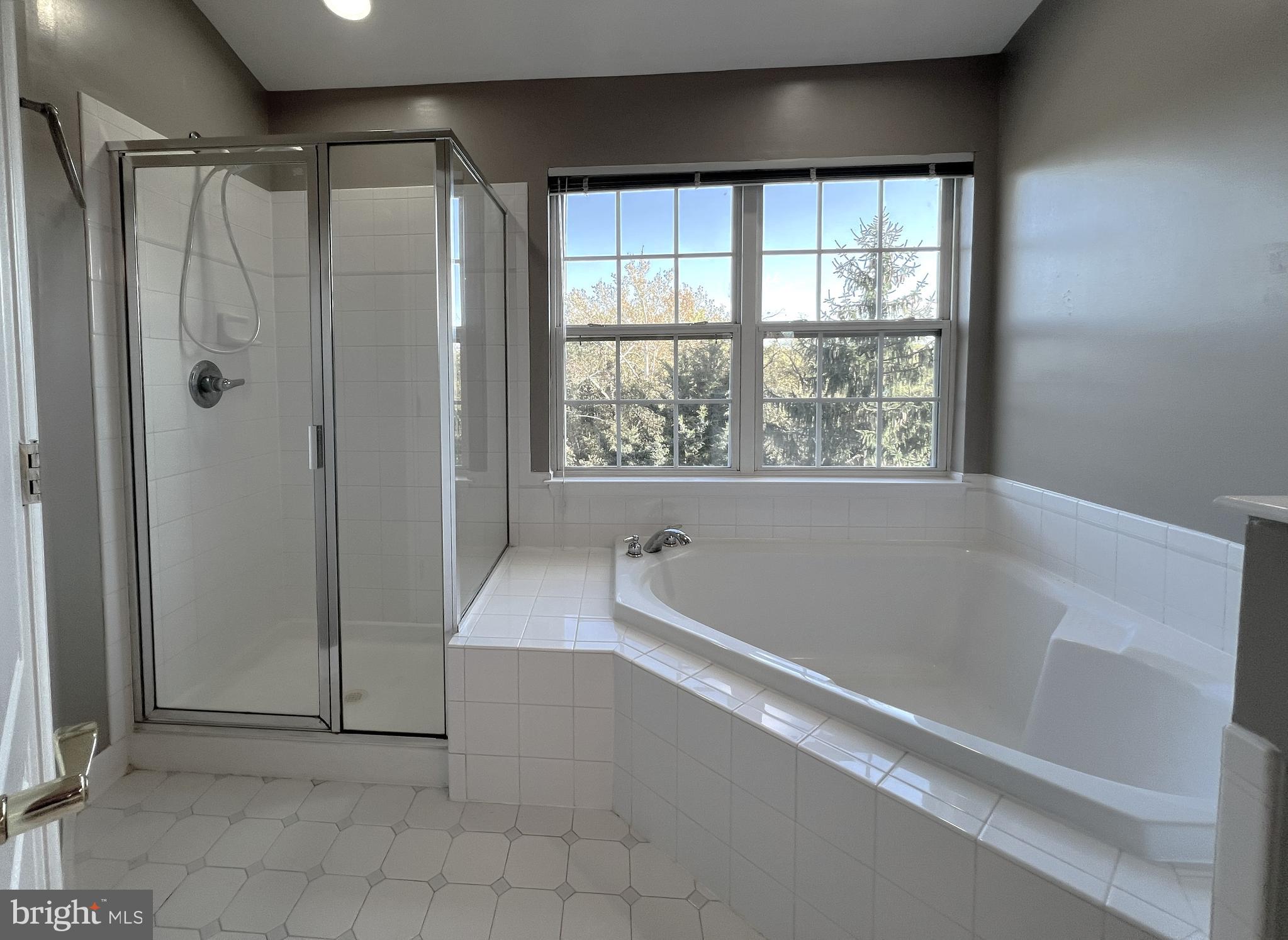 SQUIRREL HILL - Residential Lease