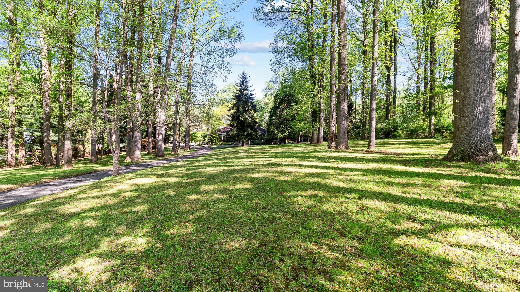 501 WEBB ROAD