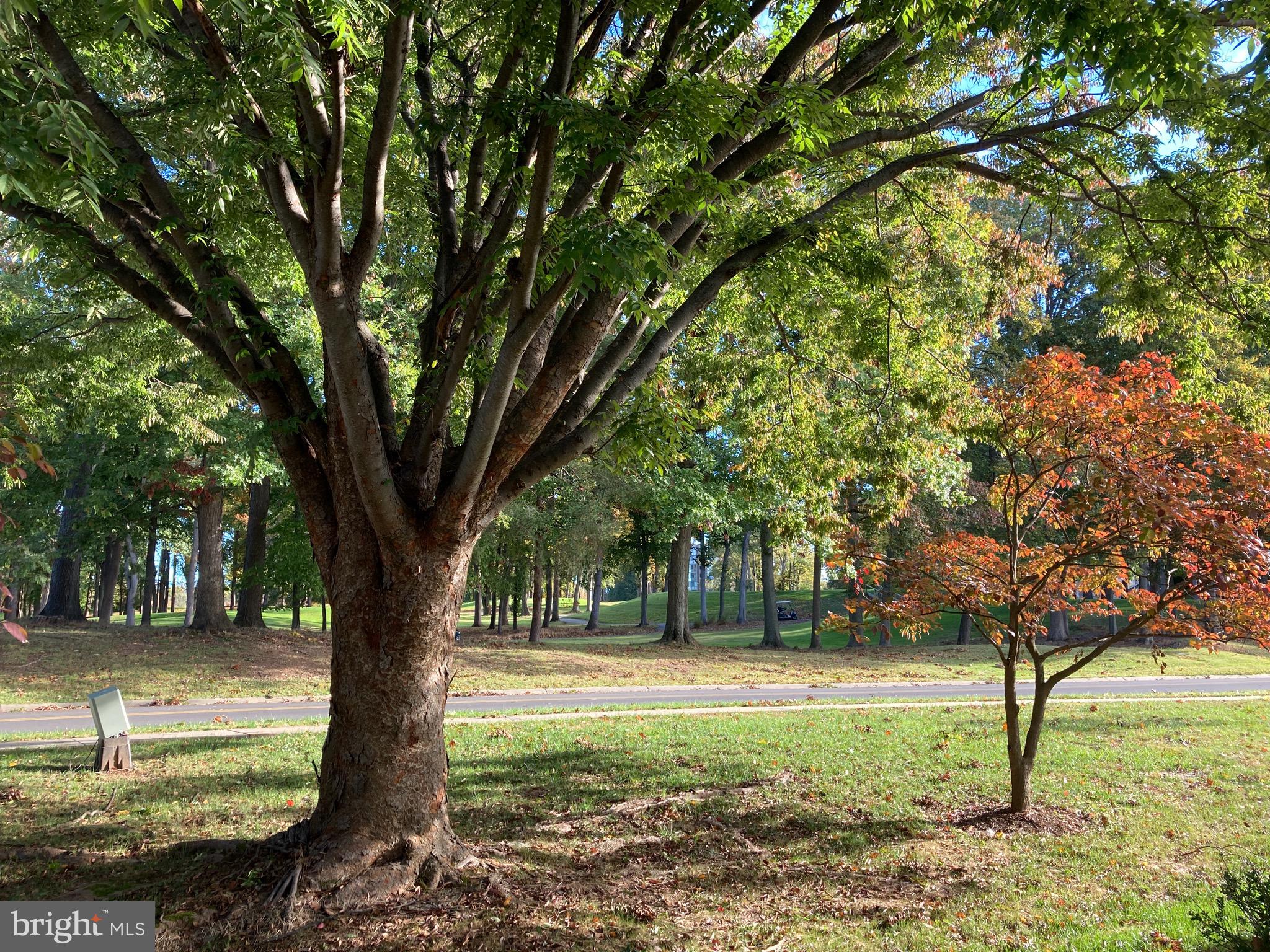 LEISURE WORLD - Residential