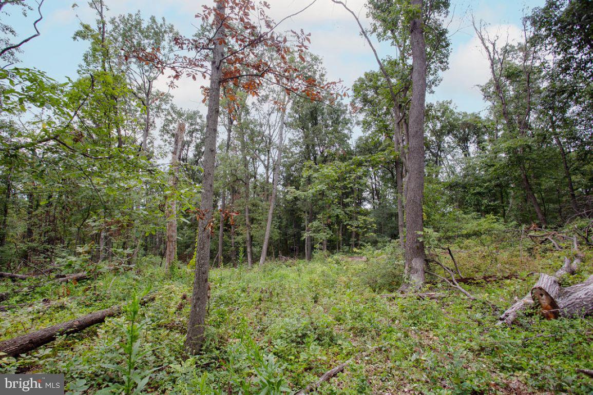 GETTYSBURG - Residential