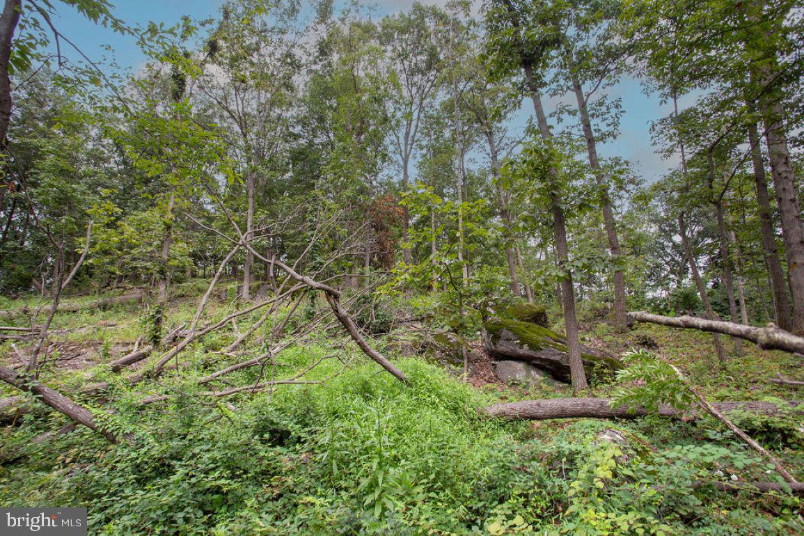 GETTYSBURG - Residential