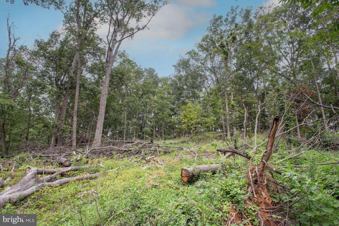 GETTYSBURG - Residential