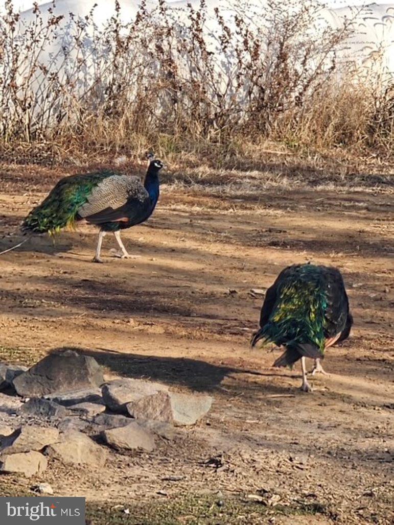 GETTYSBURG - Residential