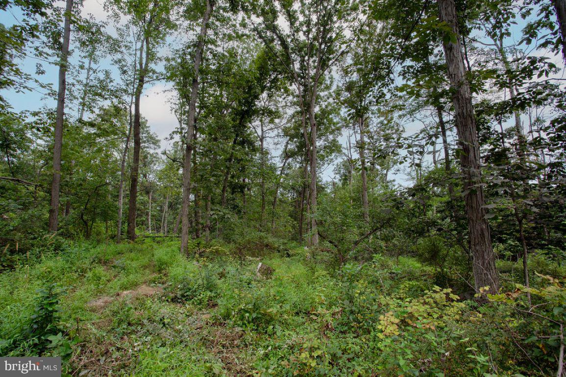 GETTYSBURG - Residential