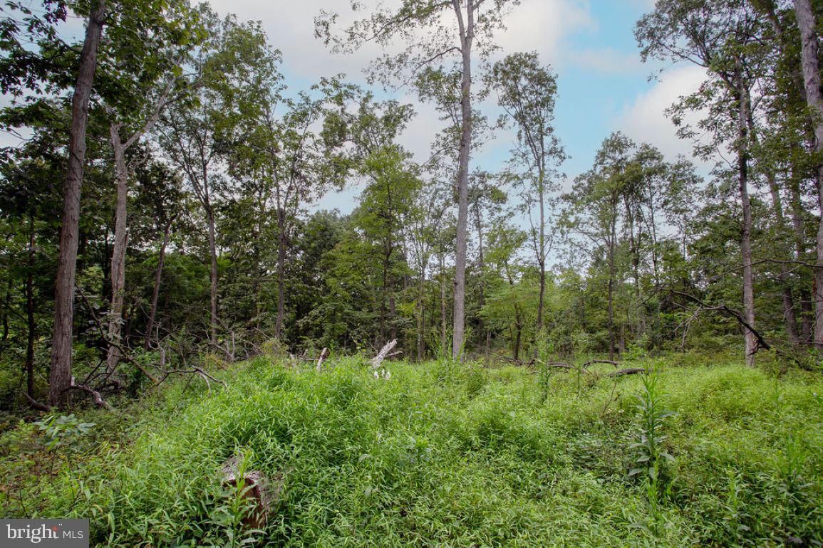 GETTYSBURG - Residential