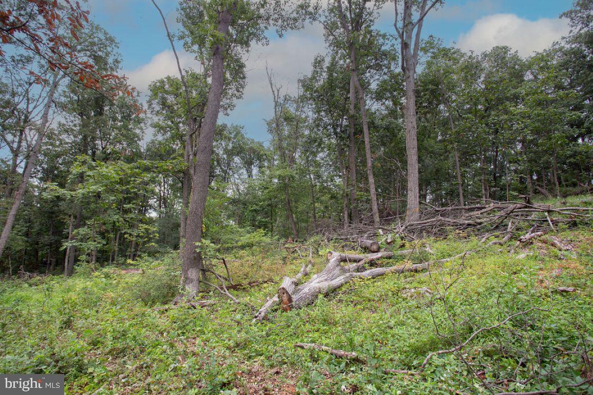 GETTYSBURG - Residential