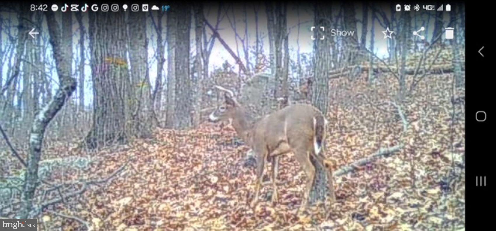 GETTYSBURG - Residential