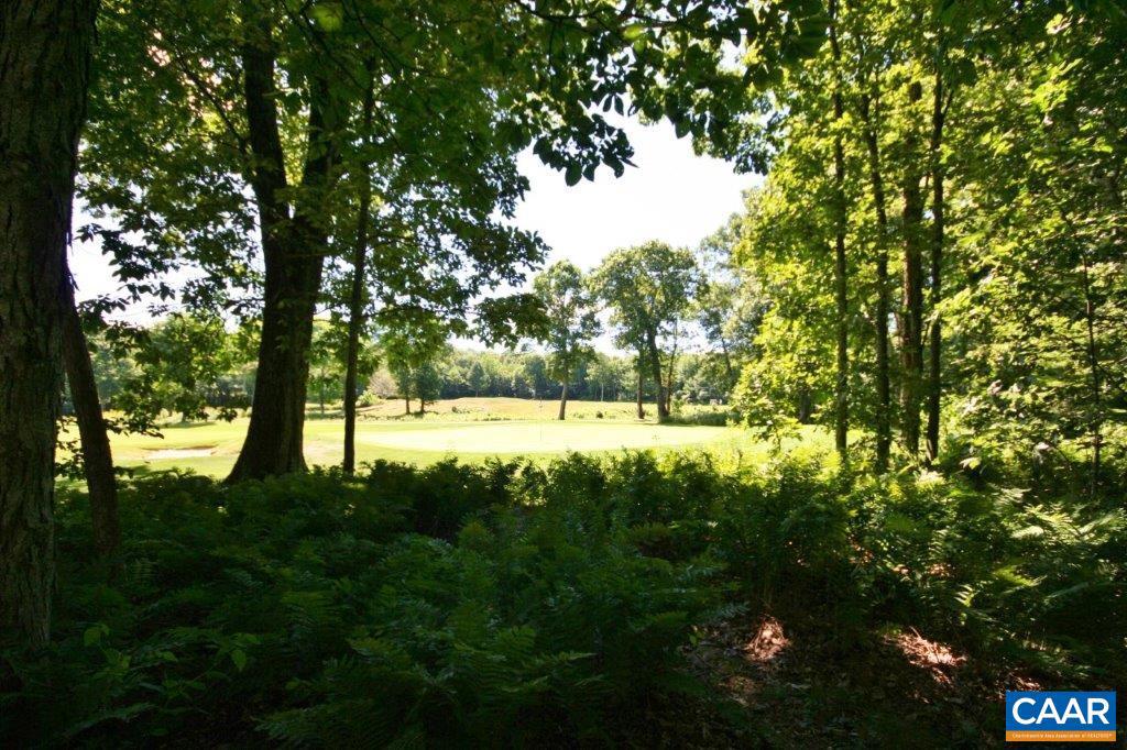 WINTERGREEN RESORT - Residential