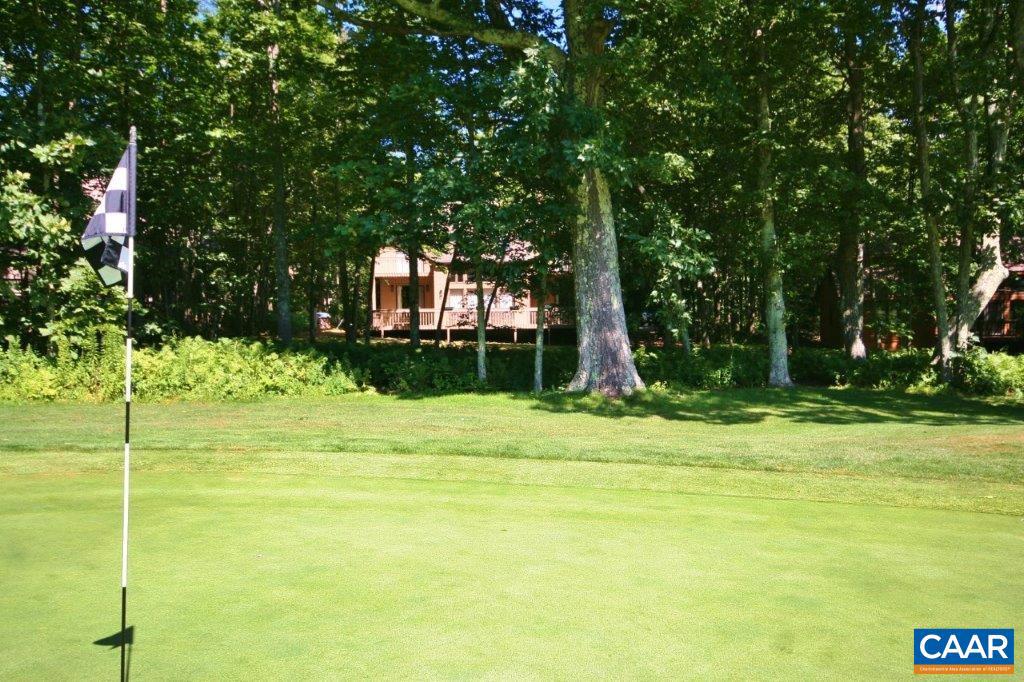 WINTERGREEN RESORT - Residential