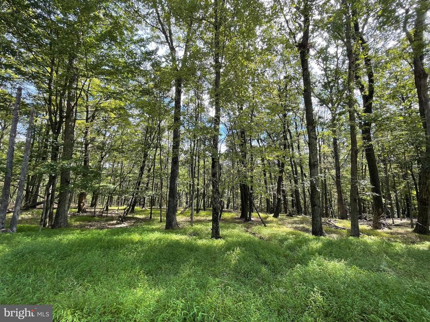 Beautiful lot which slopes to the back, lending itself for a walk out basement.   Situated atop the mountain and near the front gate the location is ideal!  The adjoining lot 117 Spring Mountain Dr is also for sale.  When the leaves fall from the trees you'll see views across the mountain!  The home of your dreams is calling!!!  The Cove Village Community is situated in the foothills of the Poconos and only 1 1/2 hours to New York,  With easy access to I-81 your commute to Hazleton, Wilkes Barre, or Scranton is a breeze.  Bring your own builder and let's get started.   Another cost-saving perc of the community is having public water and sewer already in place and ready for you to connect through Aqua of Pa.   750 acres of unoccupied prime hunting, ATV, and snowmobile riding land surround the residential portion of Cove Village and is allocated only for the residents of the community and their guests!  Driving through the community, the peace and tranquility will envelop you.  At any given moment the deer, turkey, and birds will entertain you in your own backyard.   Homes within the community vary from rustic cabins and chalets to traditional ranch or two-story homes and even exquisite new construction or dreamy mountain log homes.  There really is something for everyone.  The approximately 278 acres of residential homes and lots are occupied by full-time residents, part-time vacation homes, and even some snowbird second homes.  Cove Village offers an abundance of amenities including a swimming pool, stocked fishing lake, a basketball court, tennis courts, a volleyball court, 2 playgrounds, a baseball field, ATV paths, hunting, a mini golf course, walking paths, and year-round Community events.  I can't forget to mention the beautiful lodge ideal to rent for family gatherings.   This lot and community just might be exactly what you've been looking for.  Air B and B are not permitted. Camping on vacant lots is not permitted.  Mobile homes are not permitted.  The minimum square footage when building is 1400 square feet.  The community maintains the roads and snow removal.  Trash collection is also provided.  Tax ID number and assessed value will be assigned by the county following closing.   An appointment is required to view due to the gated community.  Call to schedule your tour today!