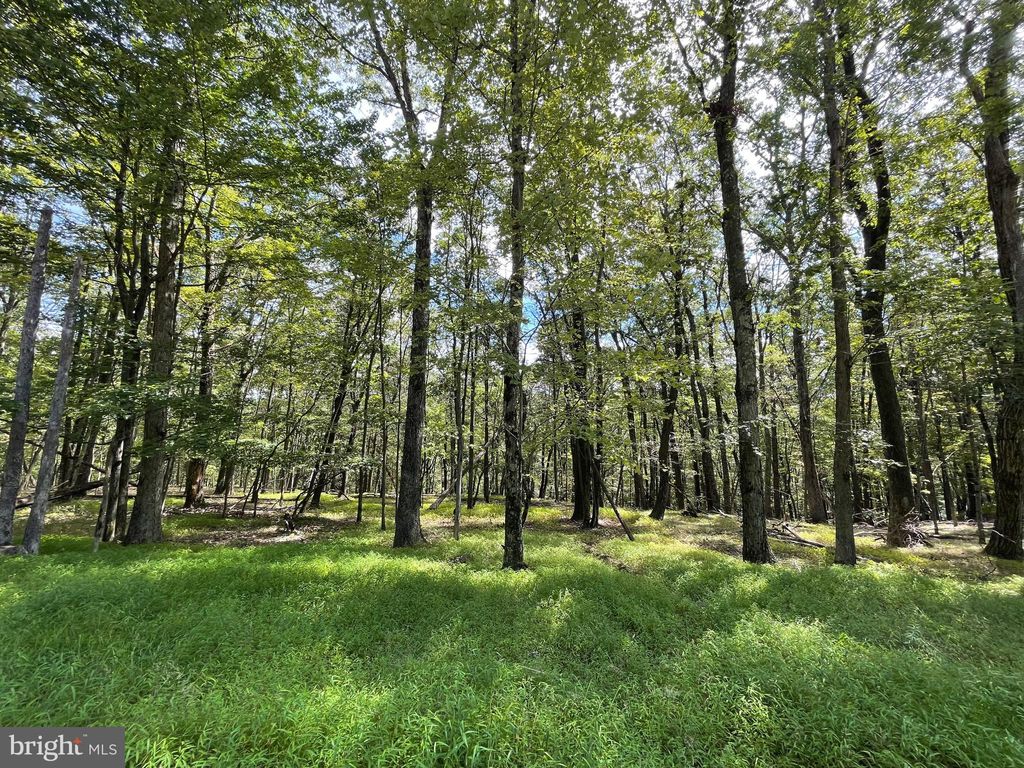 Photo of 116 Spring Mountain Drive, ZION GROVE, PA 17985 (MLS # PASK2023144)