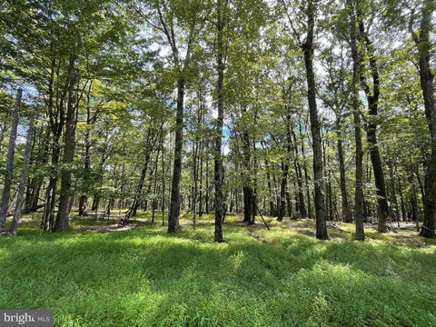 116 SPRING MOUNTAIN DRIVE ZION GROVE PA 17985