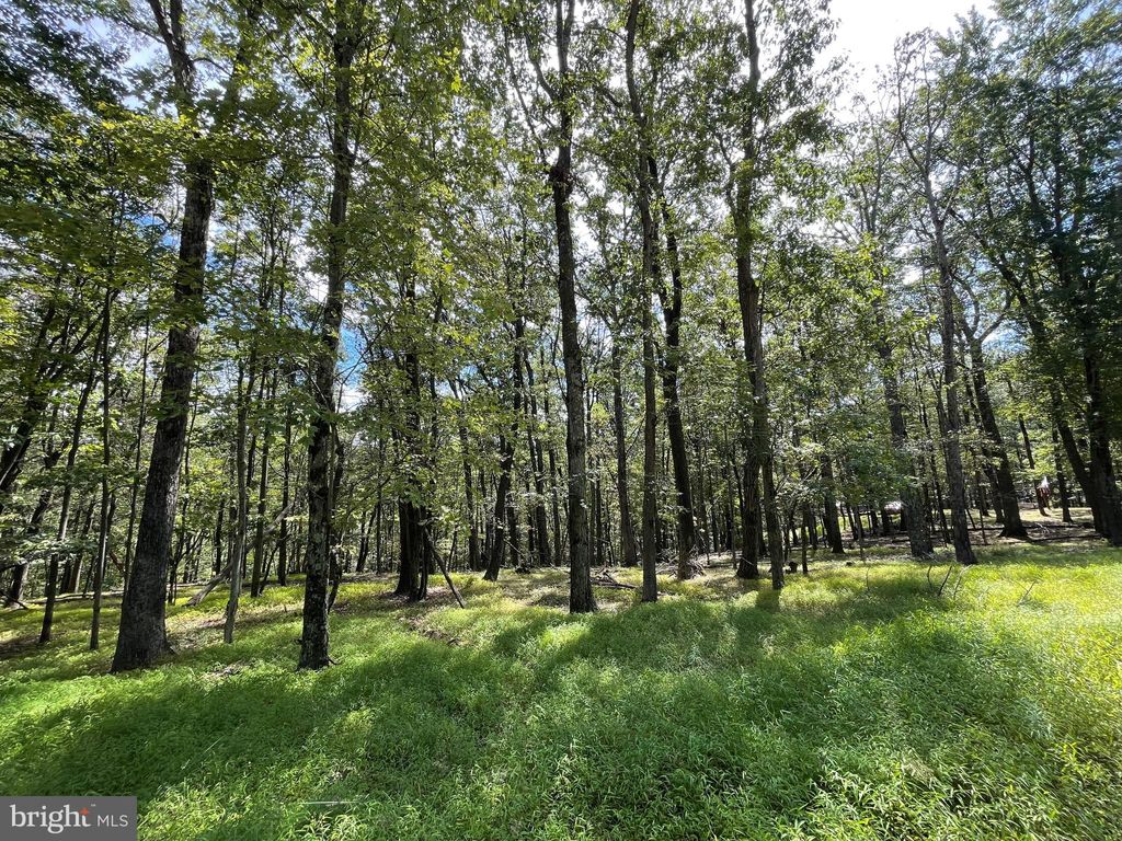 Photo of 116 Spring Mountain Drive, ZION GROVE, PA 17985 (MLS # PASK2023144)