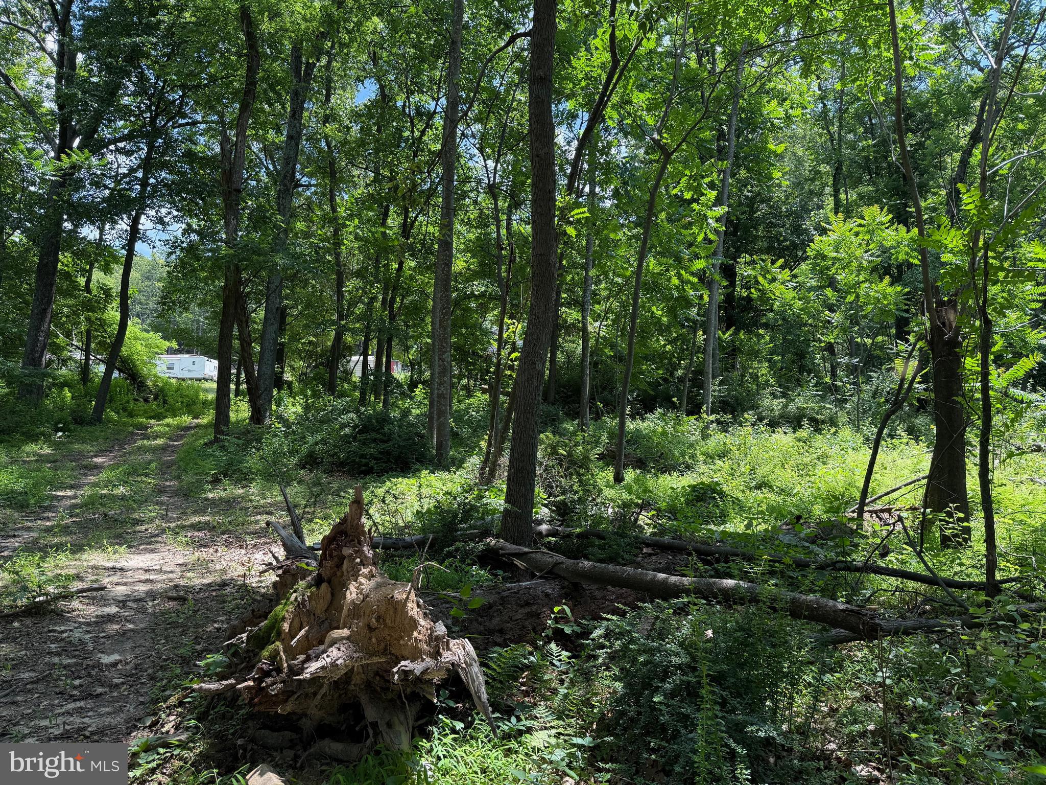 BUFFALO RIDGE RANCHETTES - Land