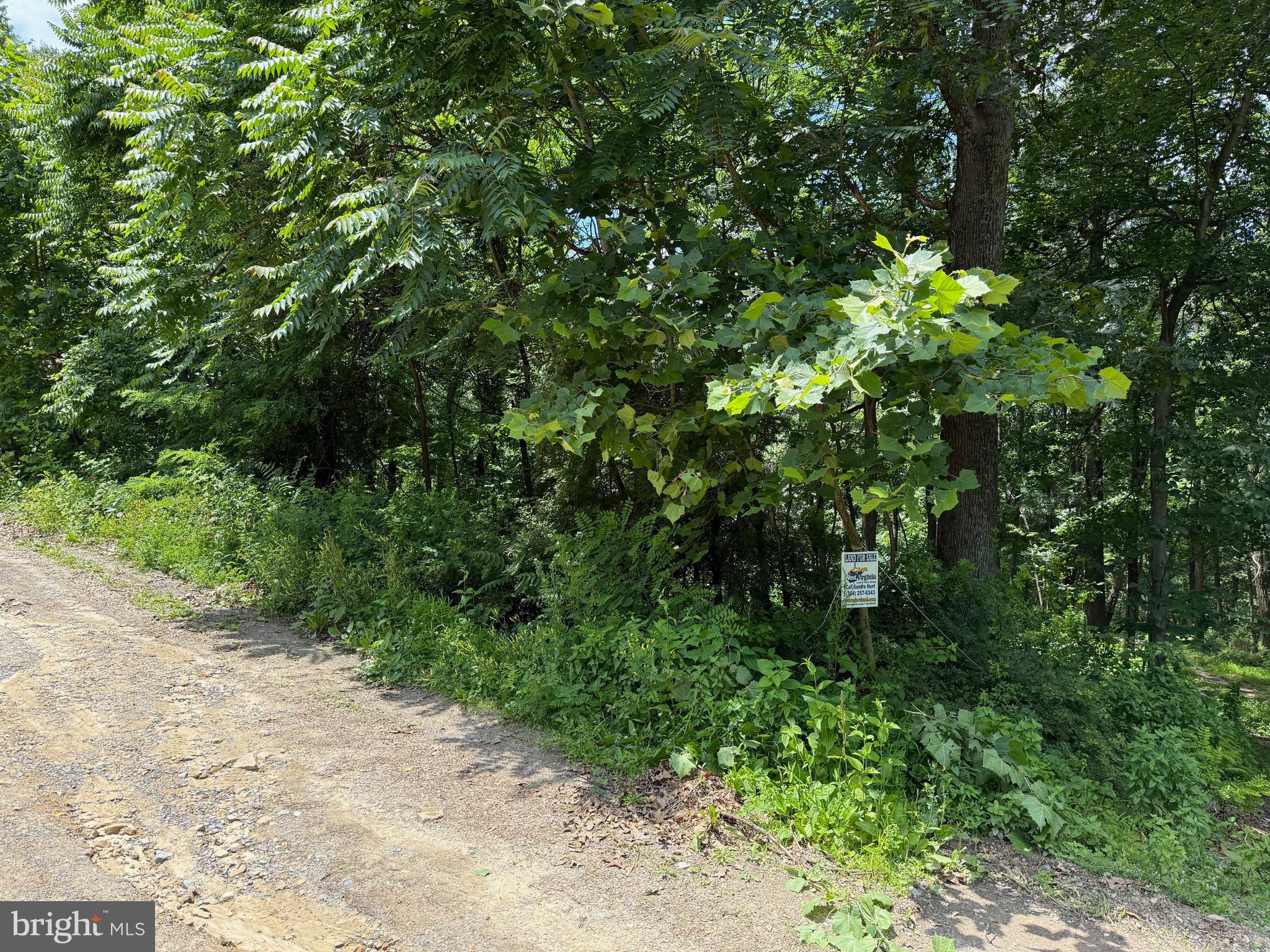 BUFFALO RIDGE RANCHETTES - Land