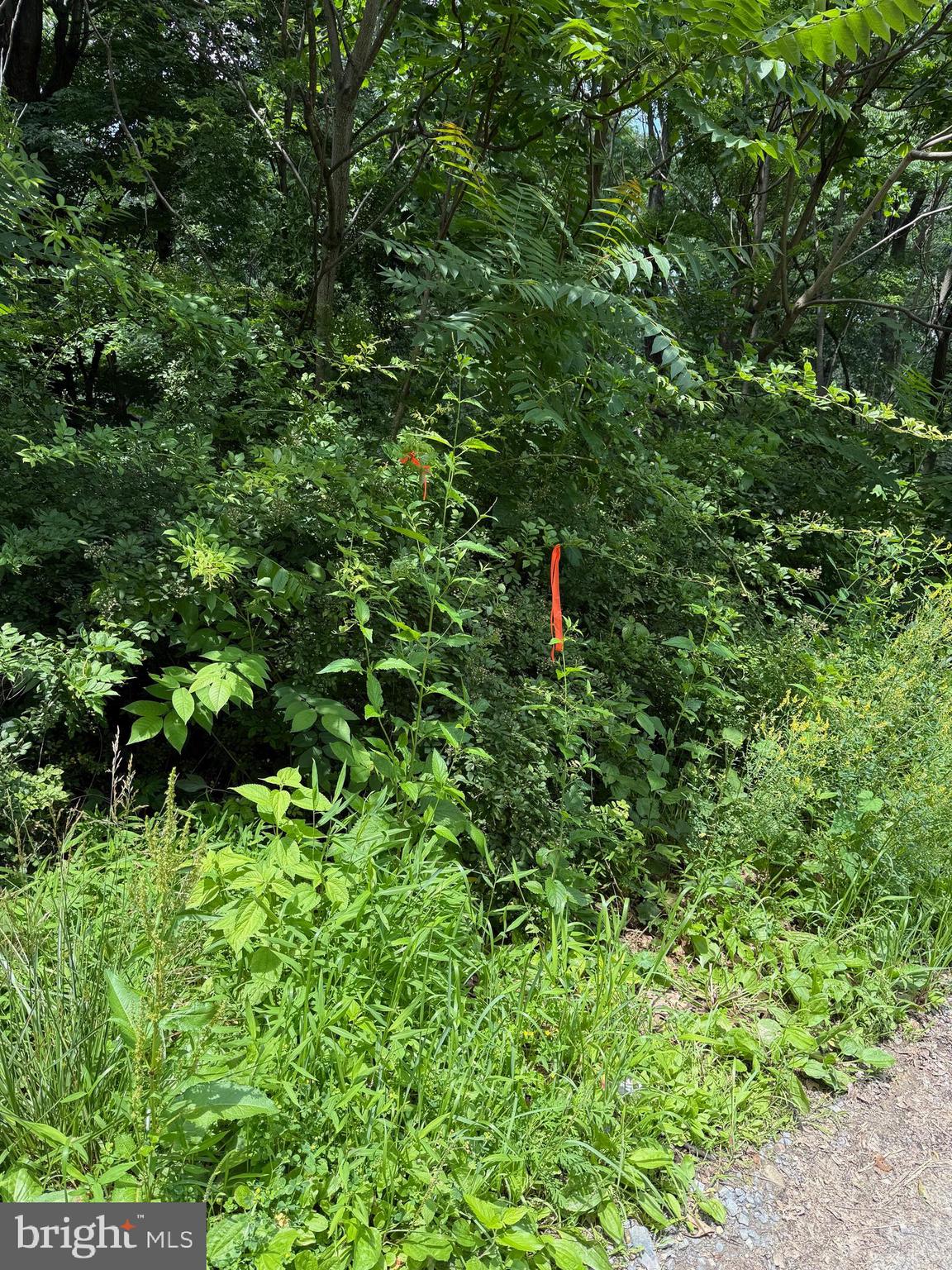 BUFFALO RIDGE RANCHETTES - Land