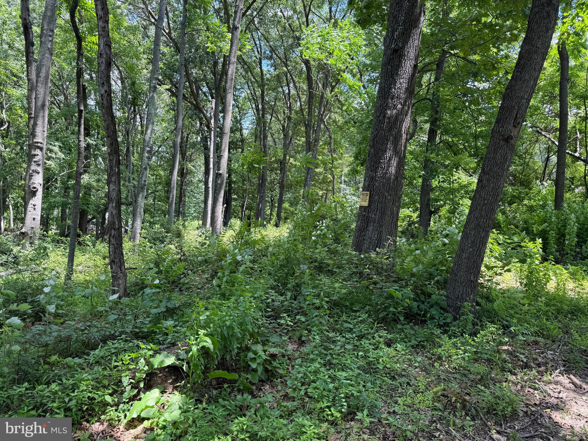 BUFFALO RIDGE RANCHETTES - Land