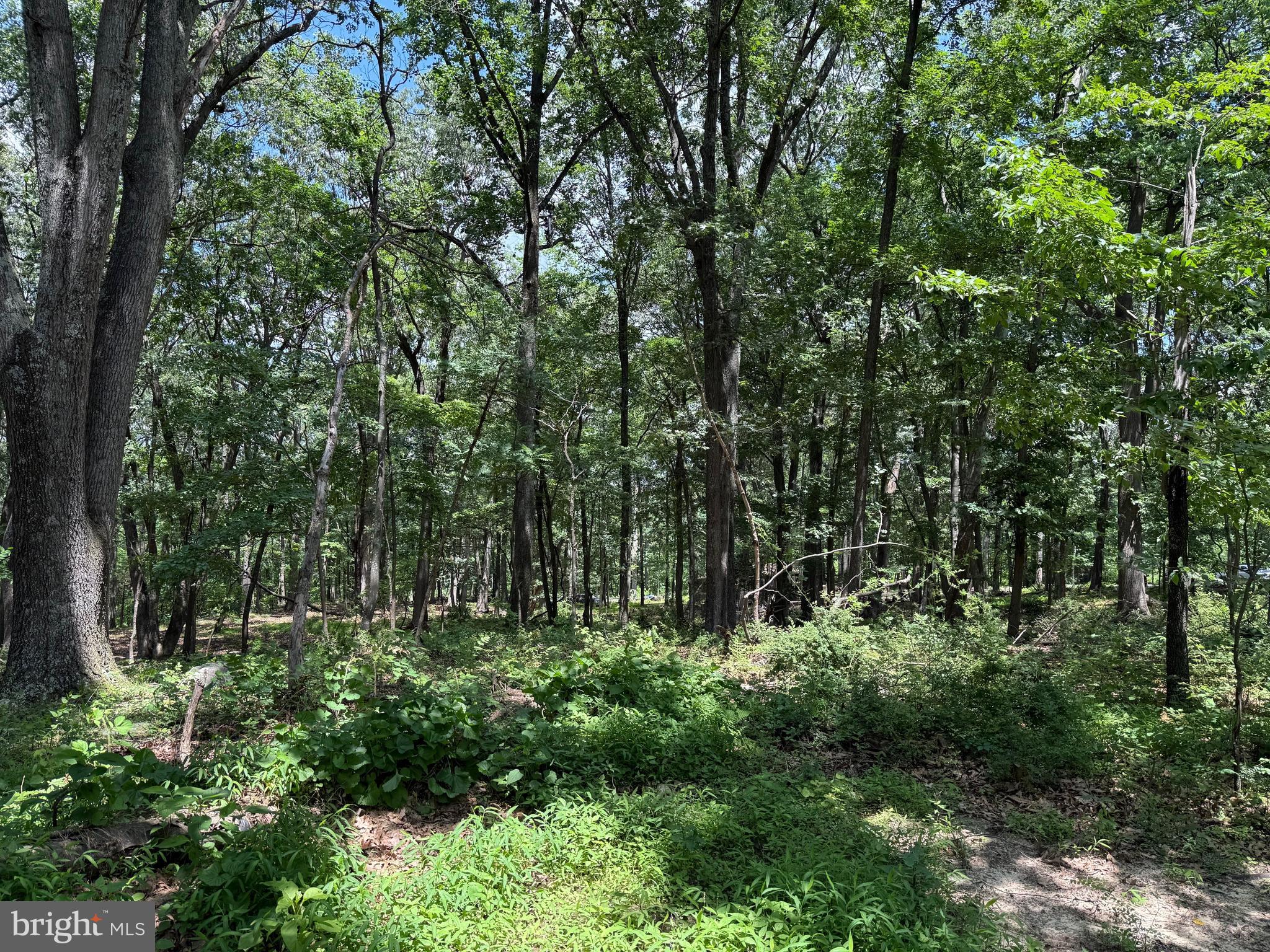 BUFFALO RIDGE RANCHETTES - Land