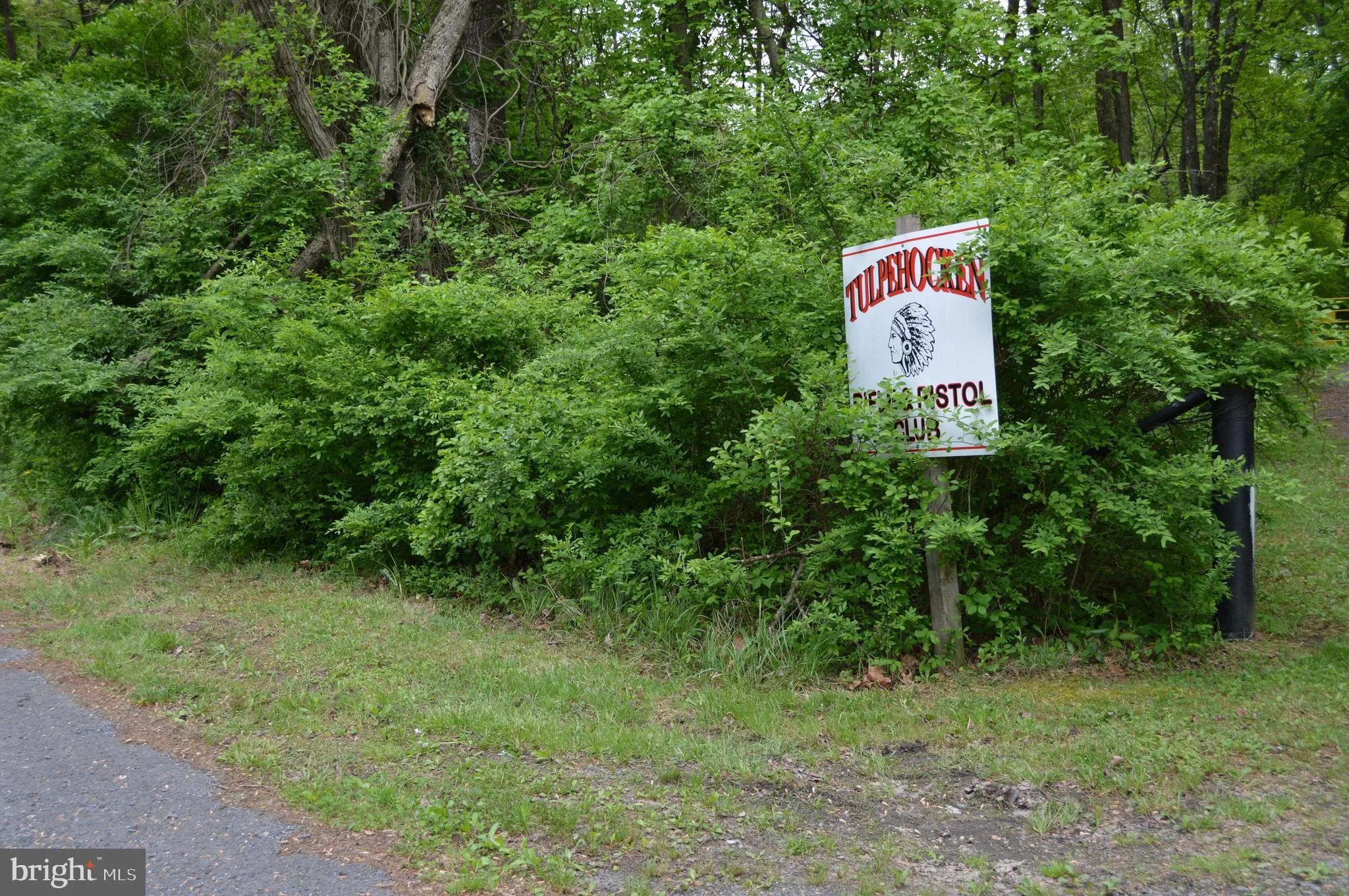 Pine Grove, Pennsylvania 17963, United States, ,Land,Active,127296