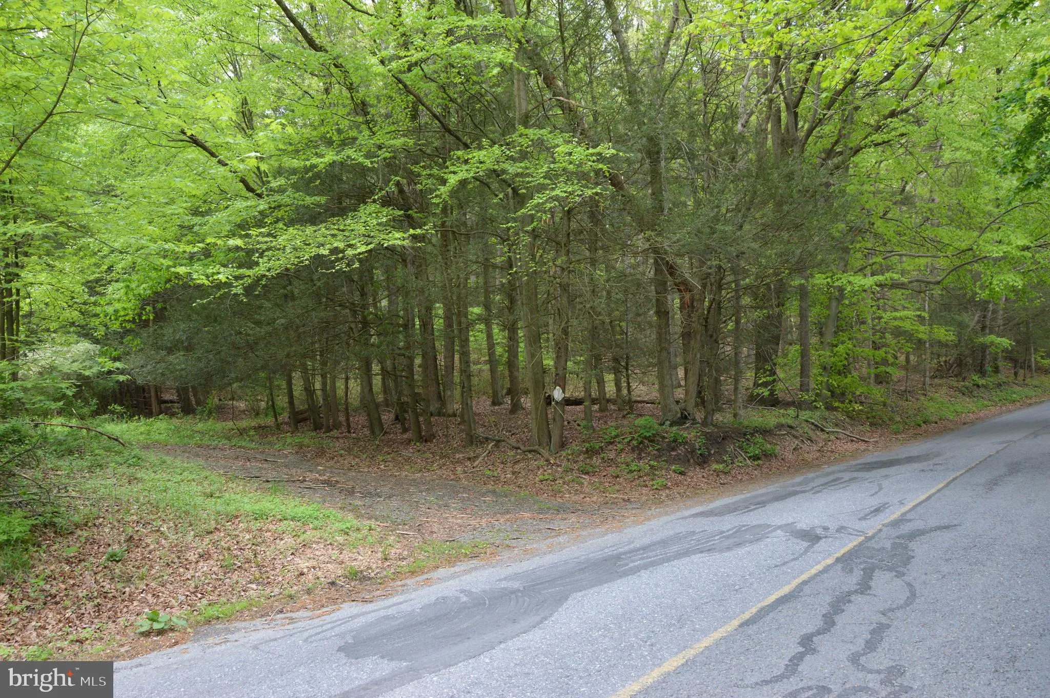 Pine Grove, Pennsylvania 17963, United States, ,Land,Active,127296 Pine Grove, Pennsylvania 17963, United States, ,Land,Active,127296