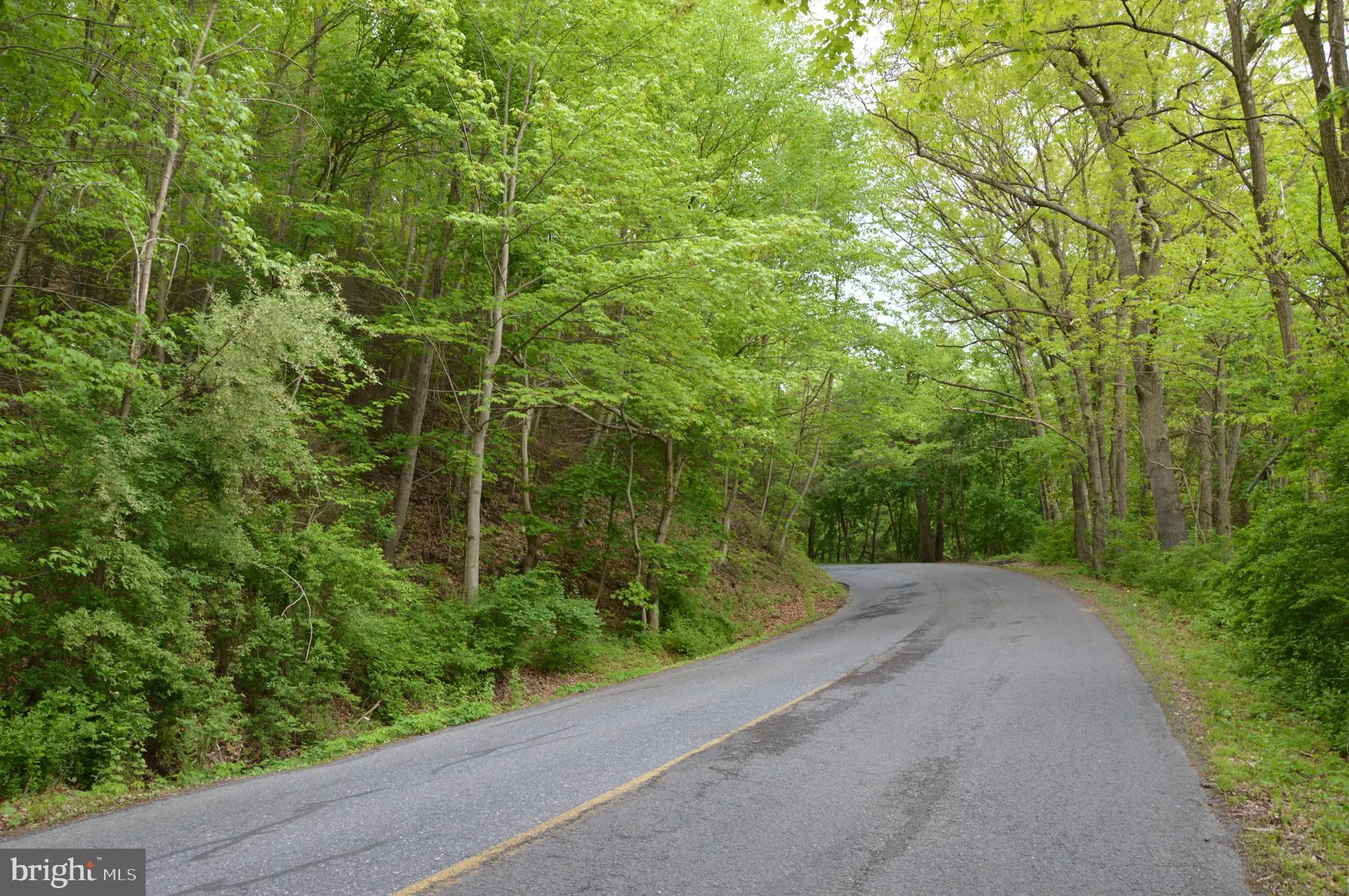 Pine Grove, Pennsylvania 17963, United States, ,Land,Active,127296