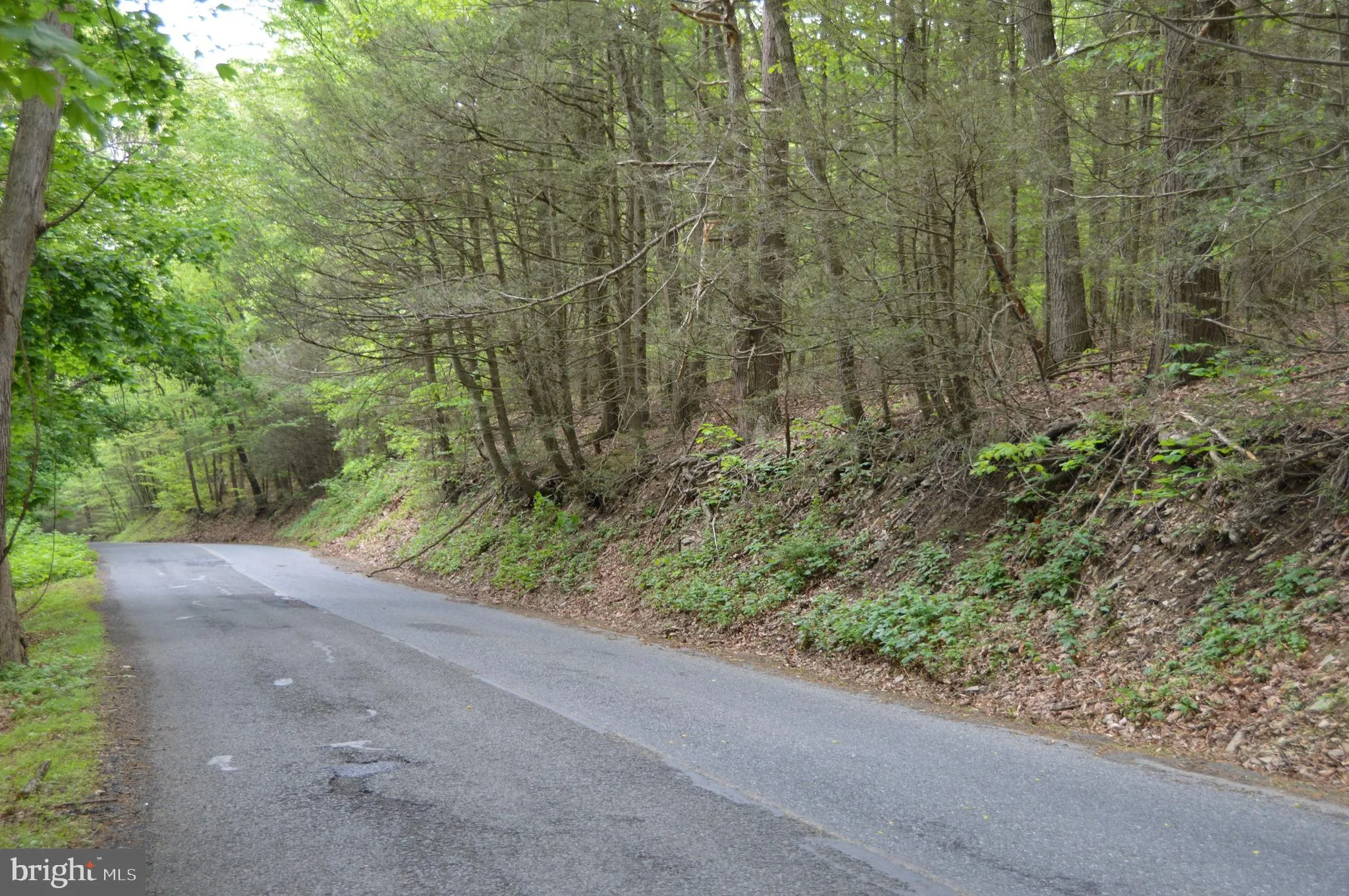 Pine Grove, Pennsylvania 17963, United States, ,Land,Active,127296