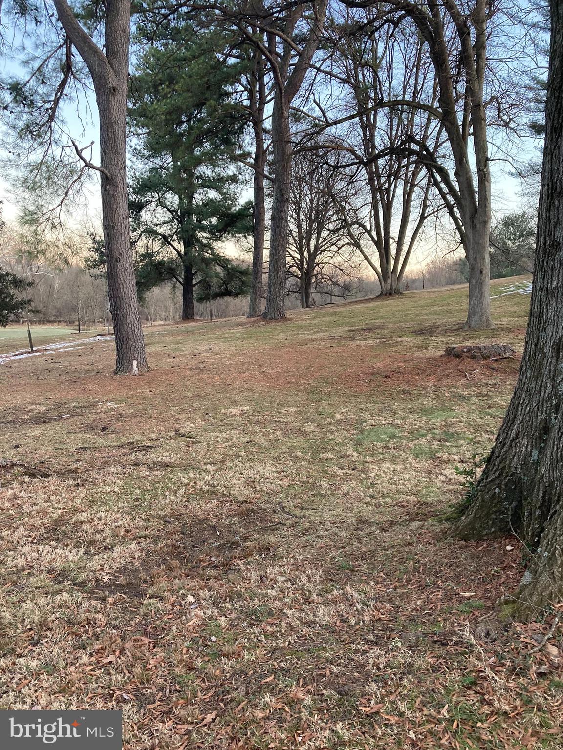 RANDOLPH HILLS - Residential Lease