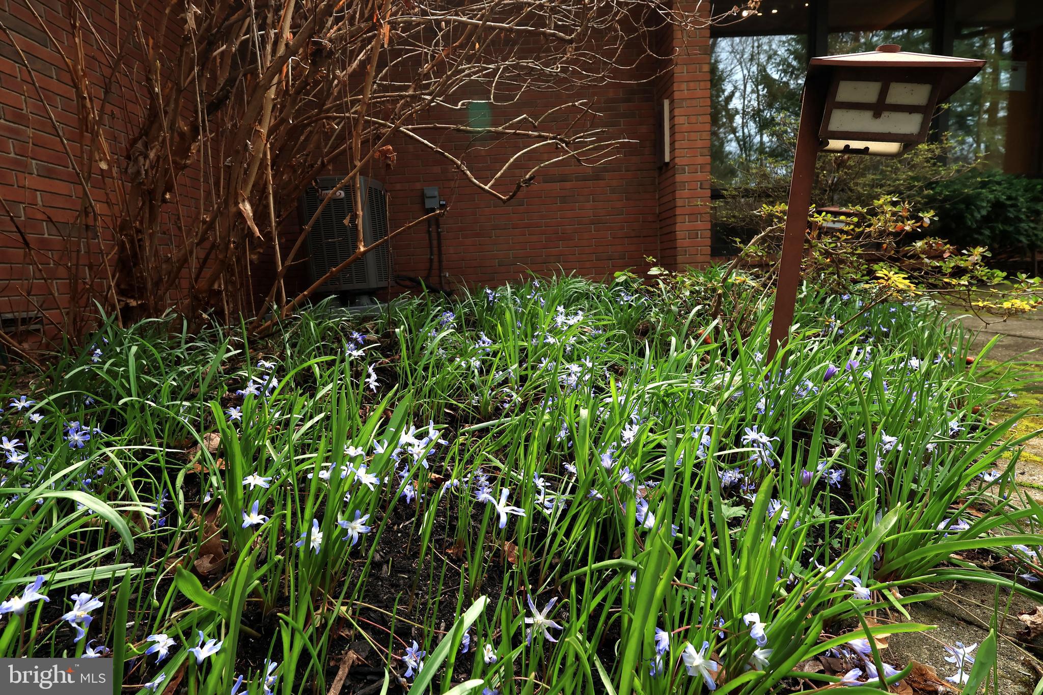 EVERHART VILLAGE - Residential